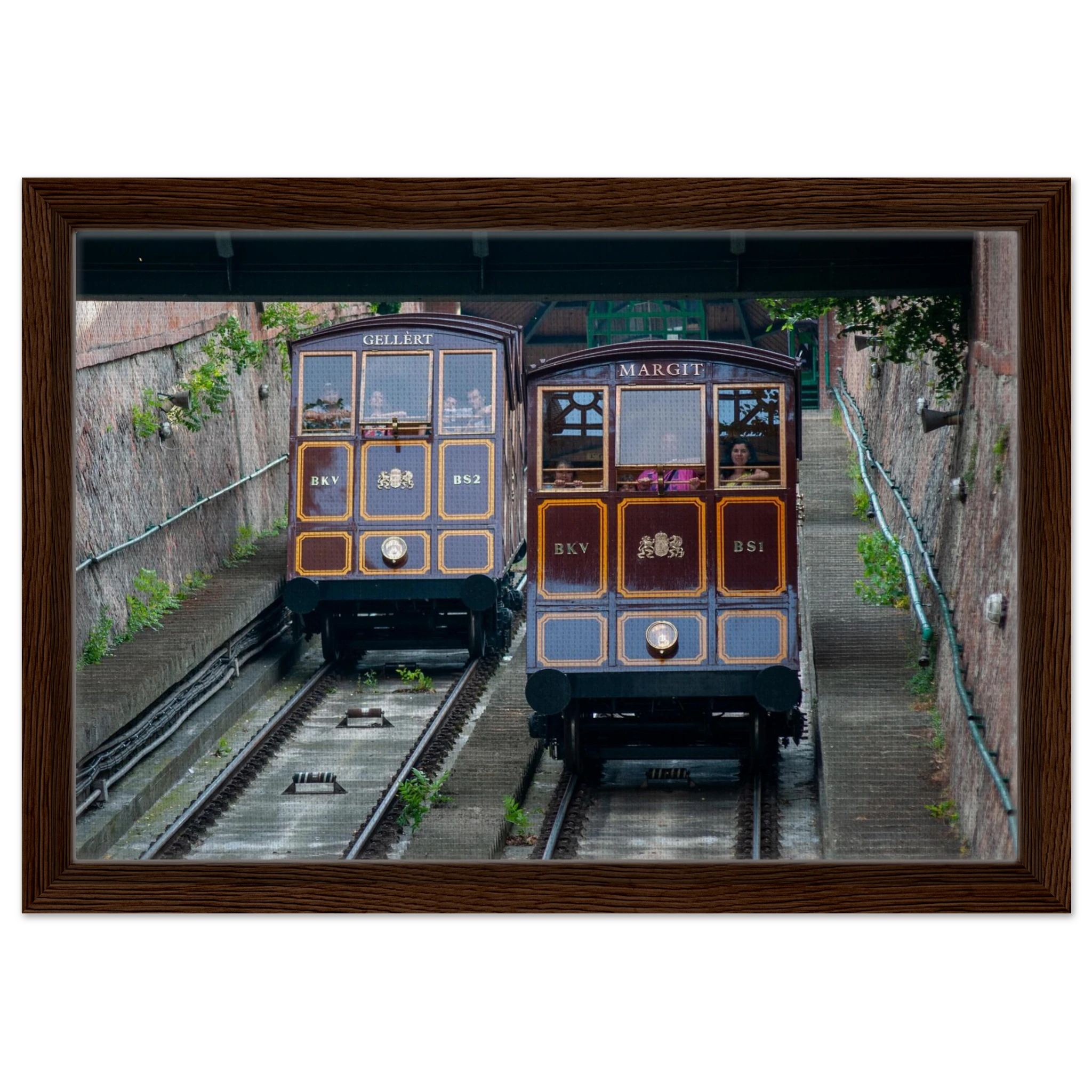 044f649e-d308-44a2-9a5a-44c72adae8b4