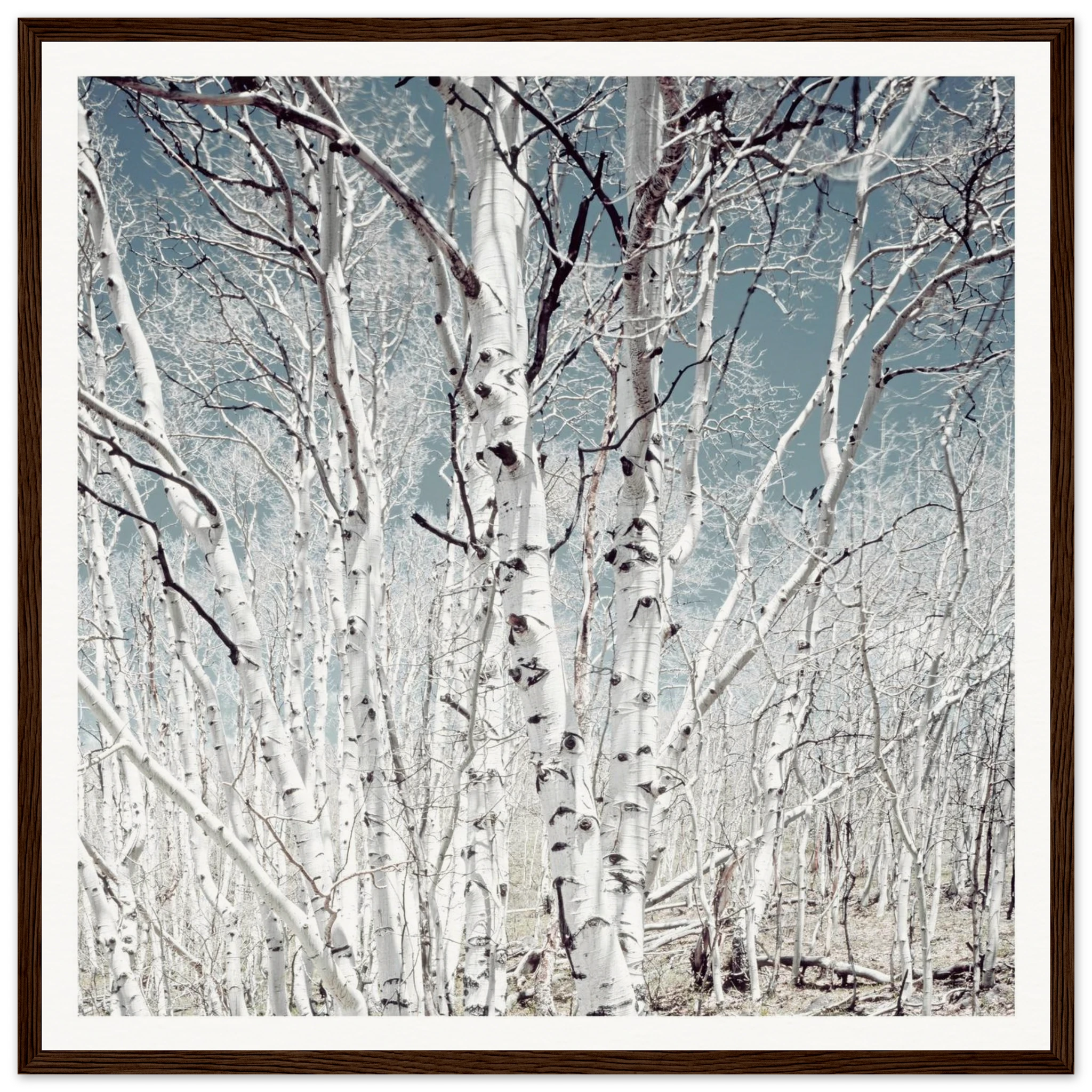 046c879c-a1b4-46de-804b-d3dc1b9a3a1a