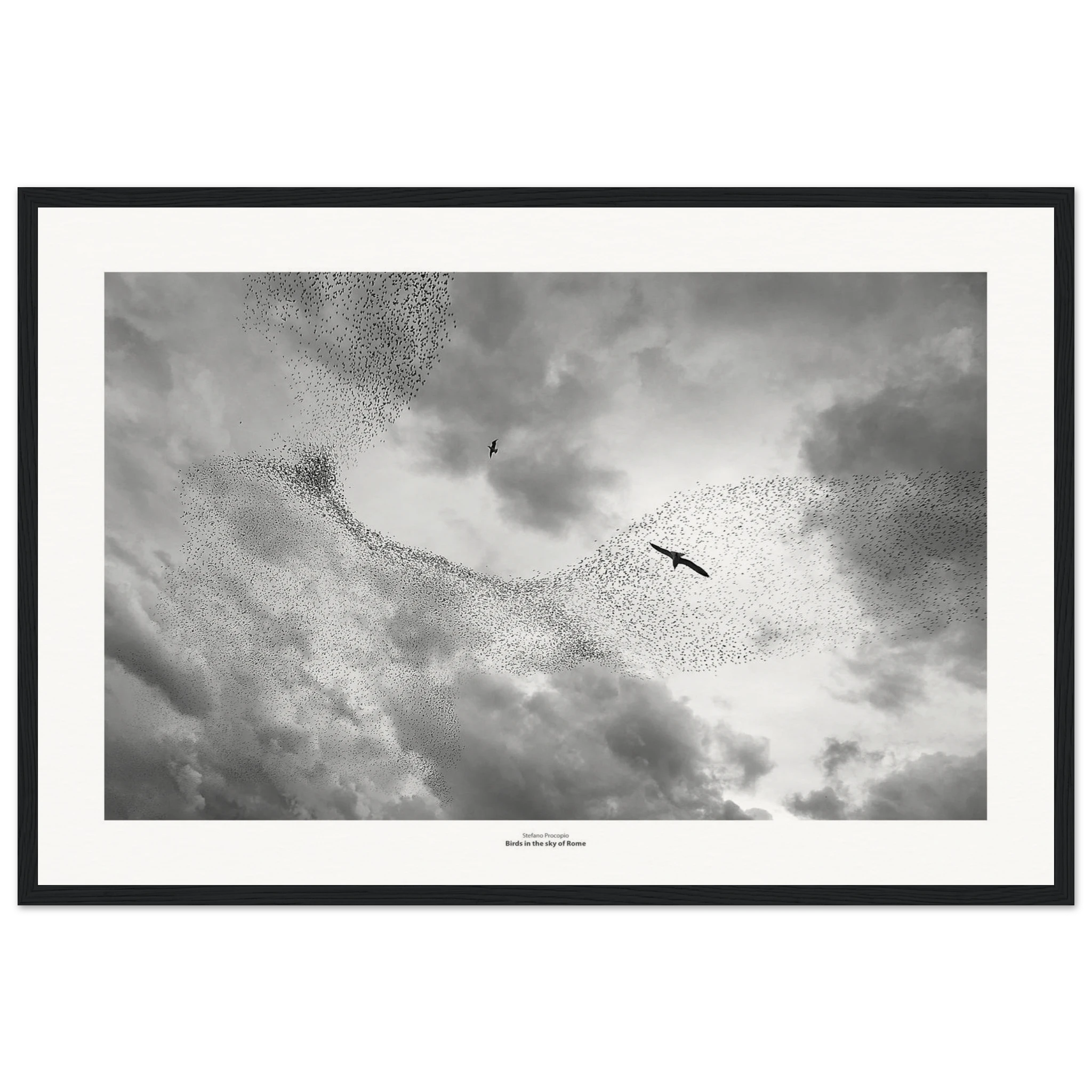 046c98ac-7ec4-419d-aa02-cf59df7bb934