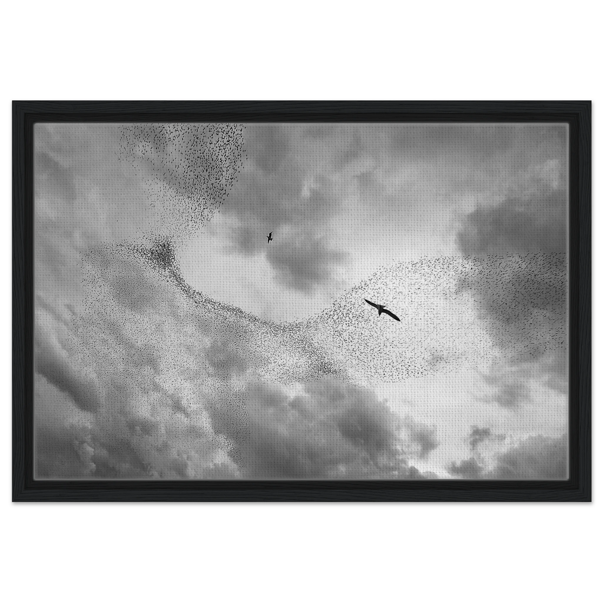 066ade50-b283-4bbf-9aaf-1e7c79249d8f