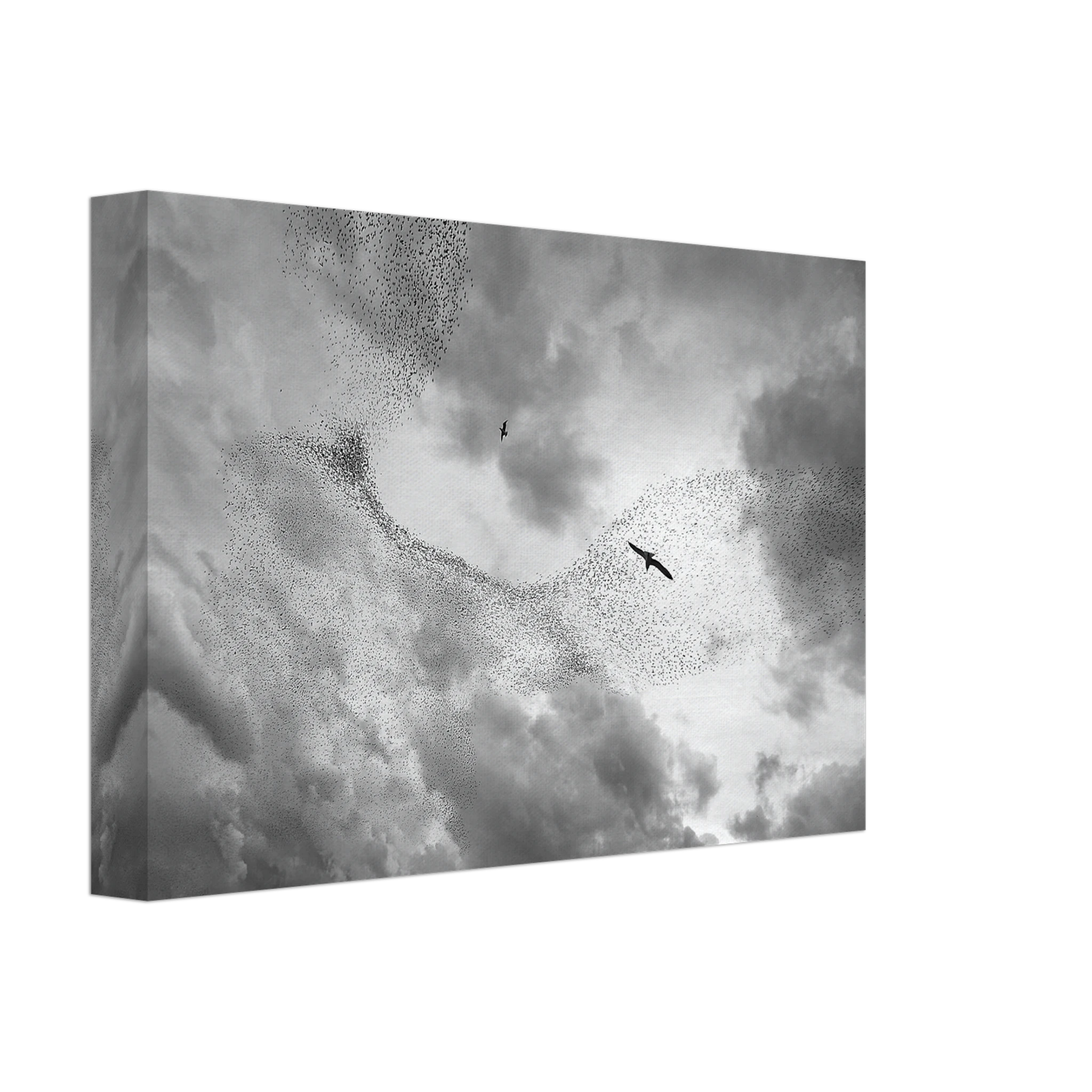 07fcb2e9-06f7-4619-86e3-a1f2832c2409