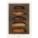 0972db21-ba36-4376-8fe5-fa3e86ab813b