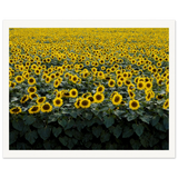 0eaa6870-cb50-4454-8b78-6d64b7a309c2