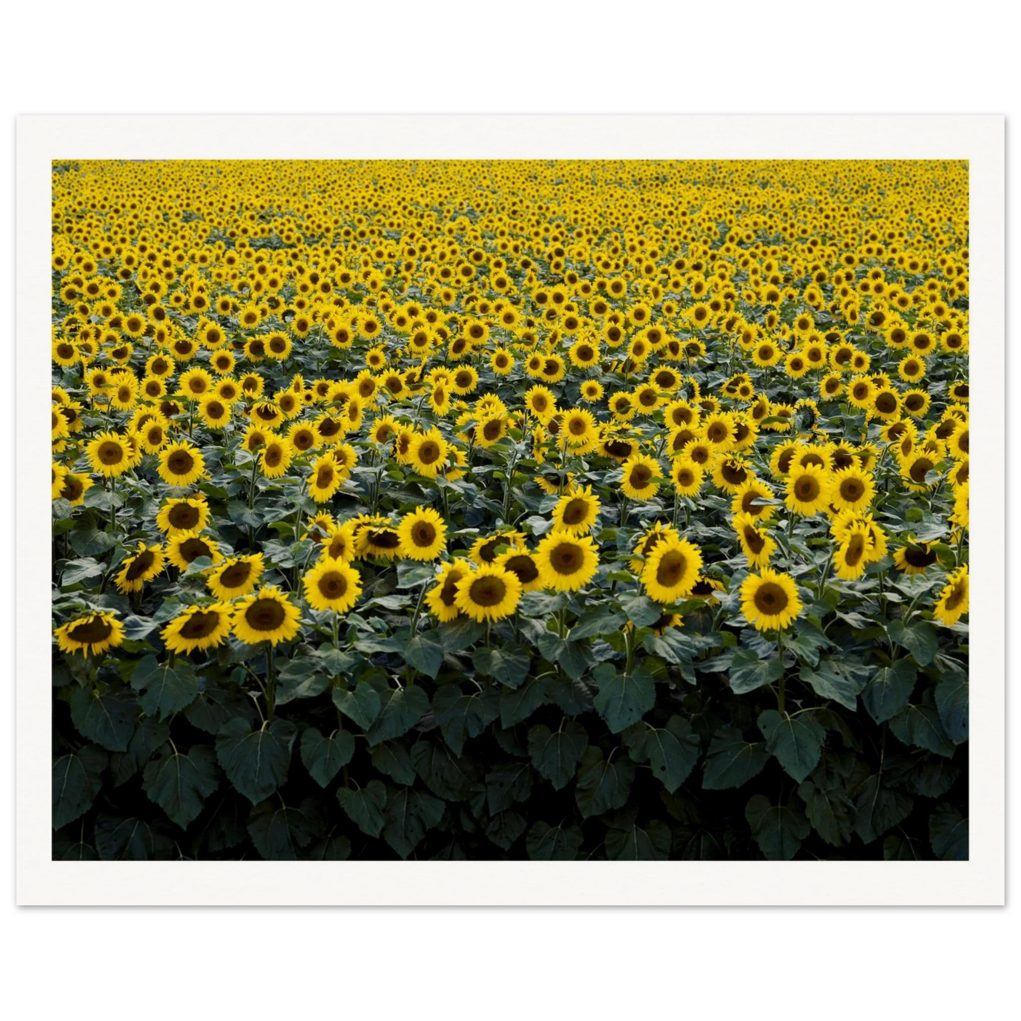 0eaa6870-cb50-4454-8b78-6d64b7a309c2