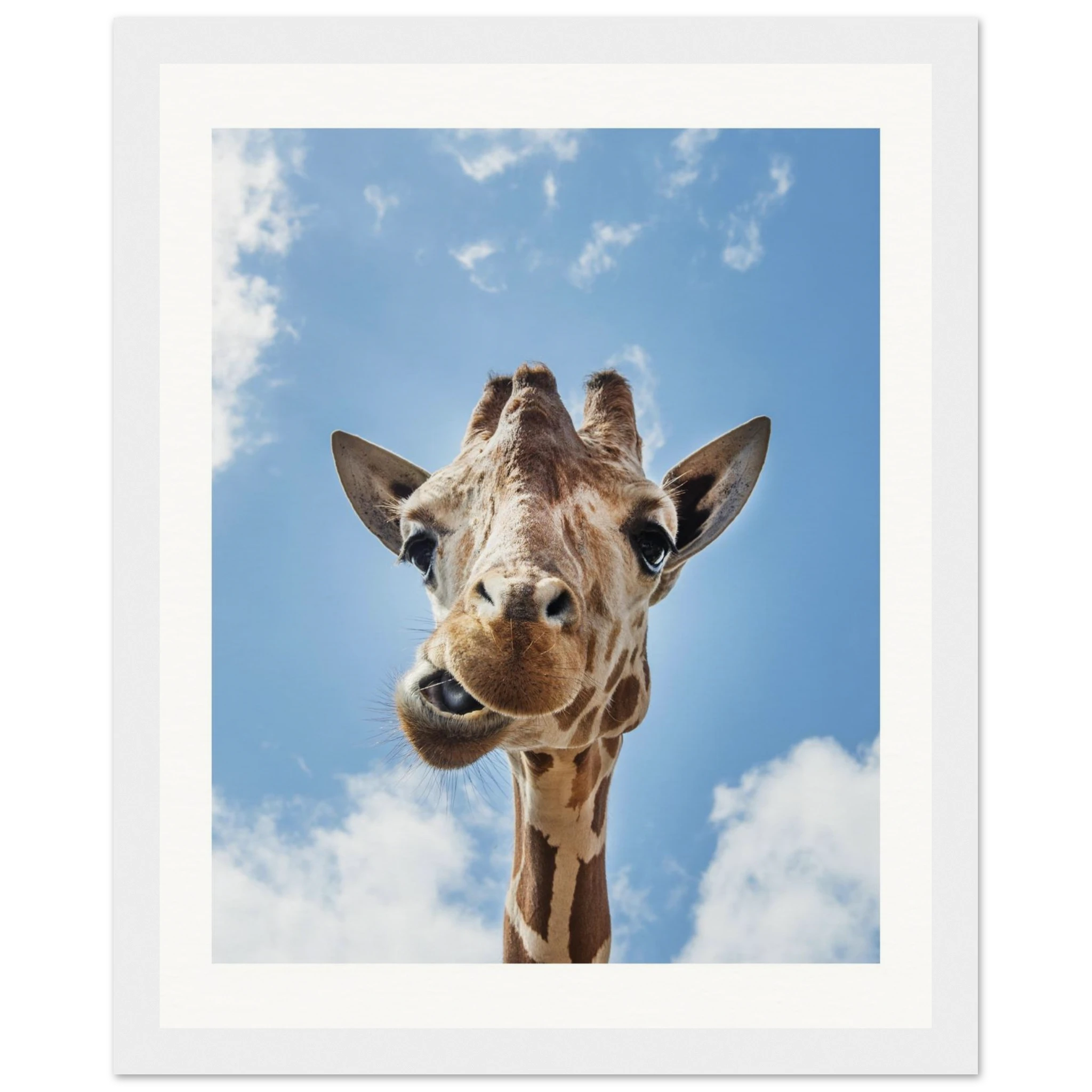 0ffcfba2-ad8e-40ac-9a65-5c12bee02c35