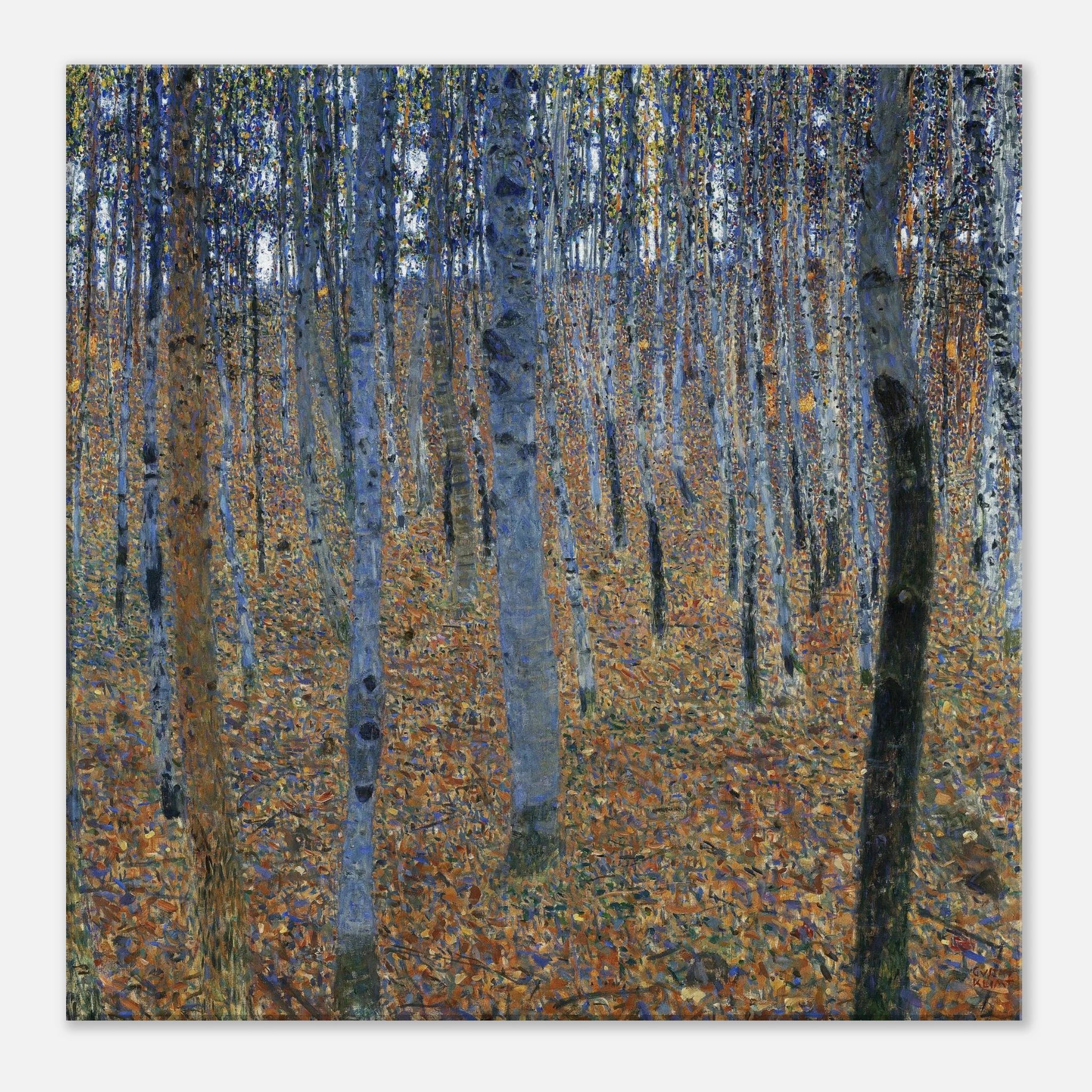 10062648-a8da-4e1a-928b-44f96546f724