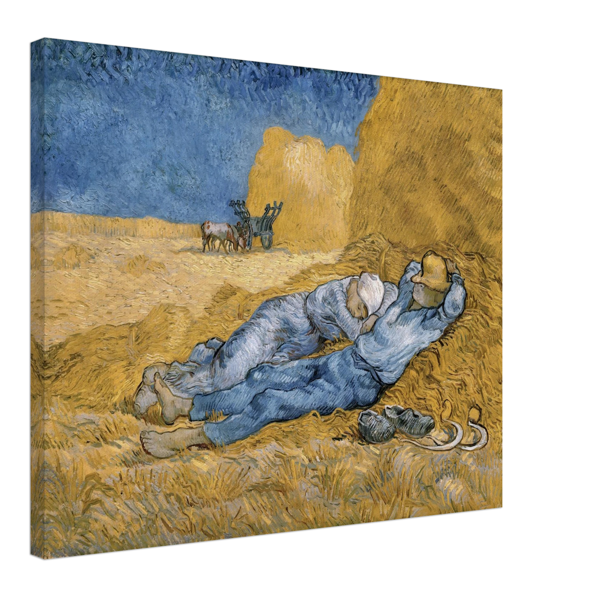 1138b3ef-623f-407a-a5b2-a6e81661e7b7