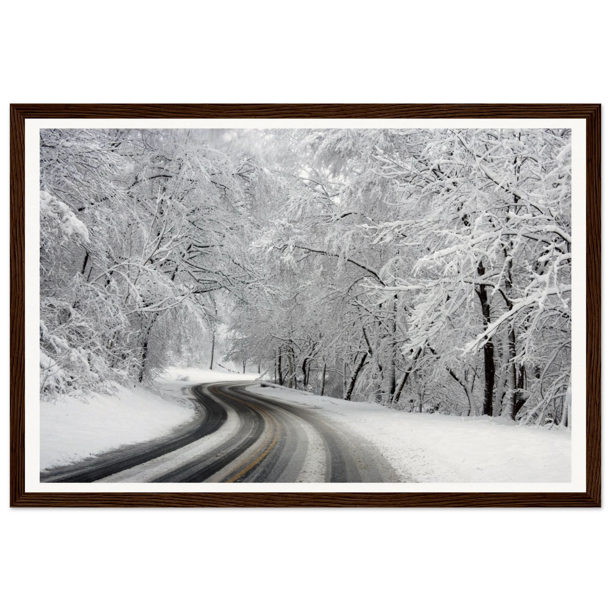 118141ed-1854-4e6d-a73d-b0e5629ea8f2