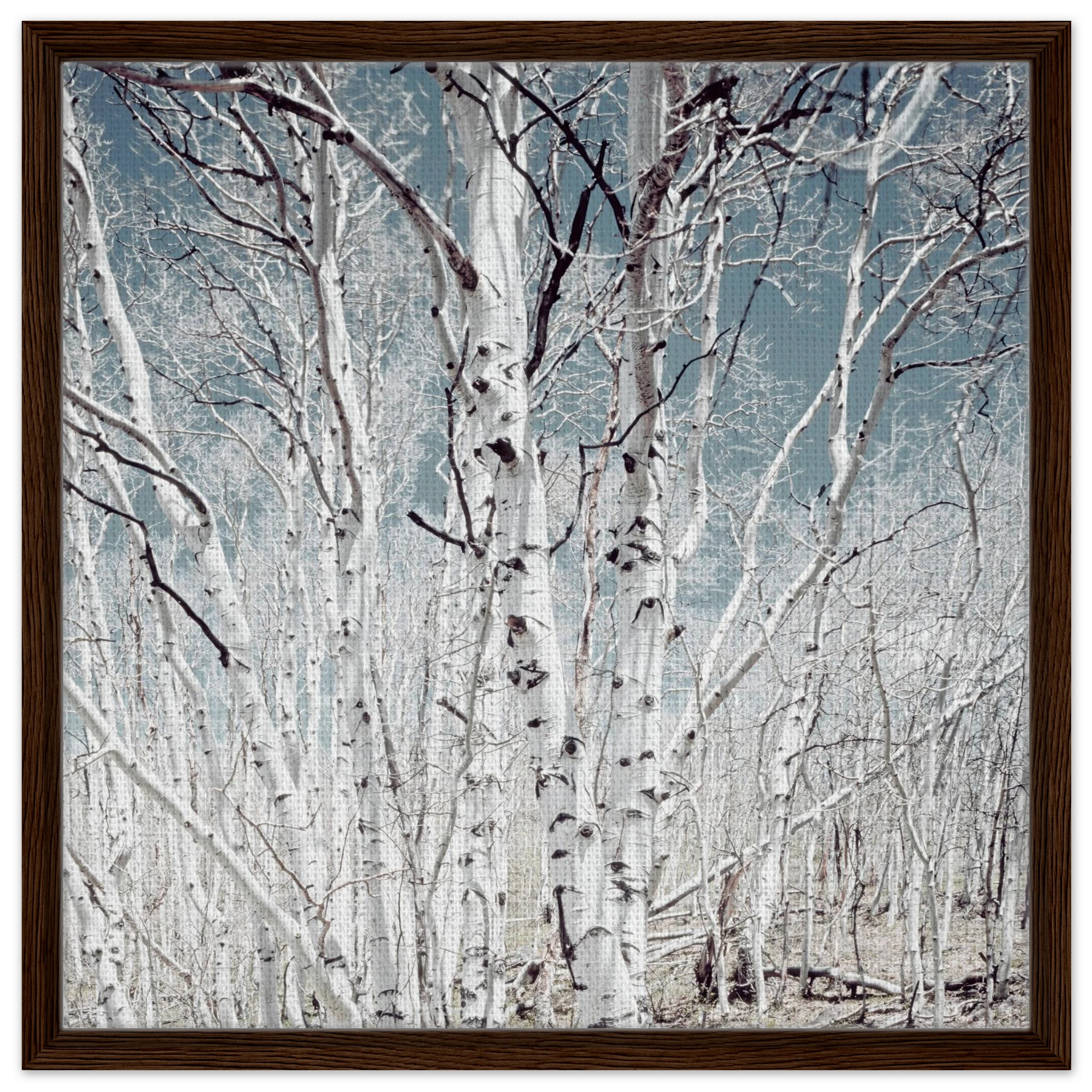 1789b5ea-5848-4b1b-ae26-913bc9f0f905