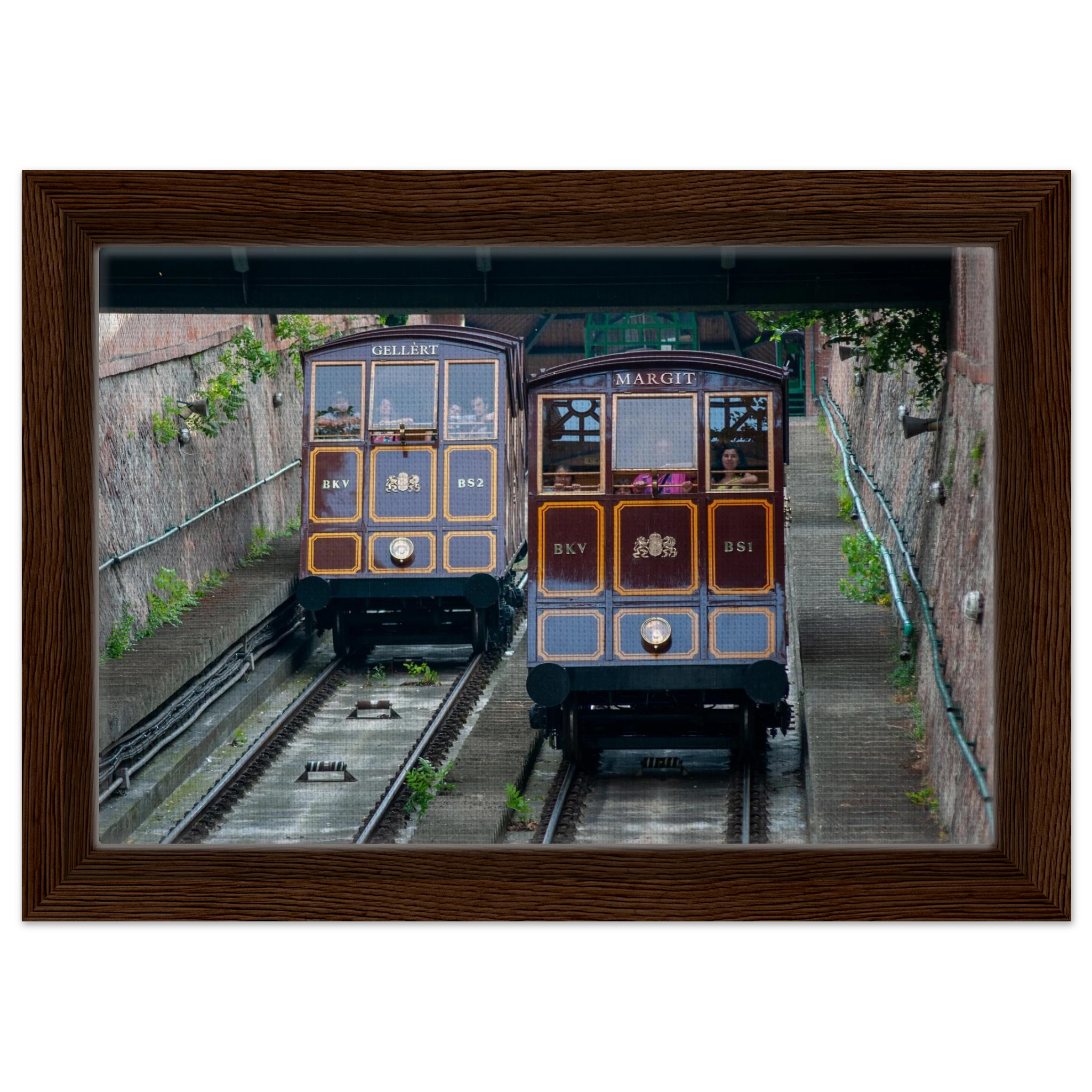 17e01d03-8201-4d7f-887d-06d0821d45f8