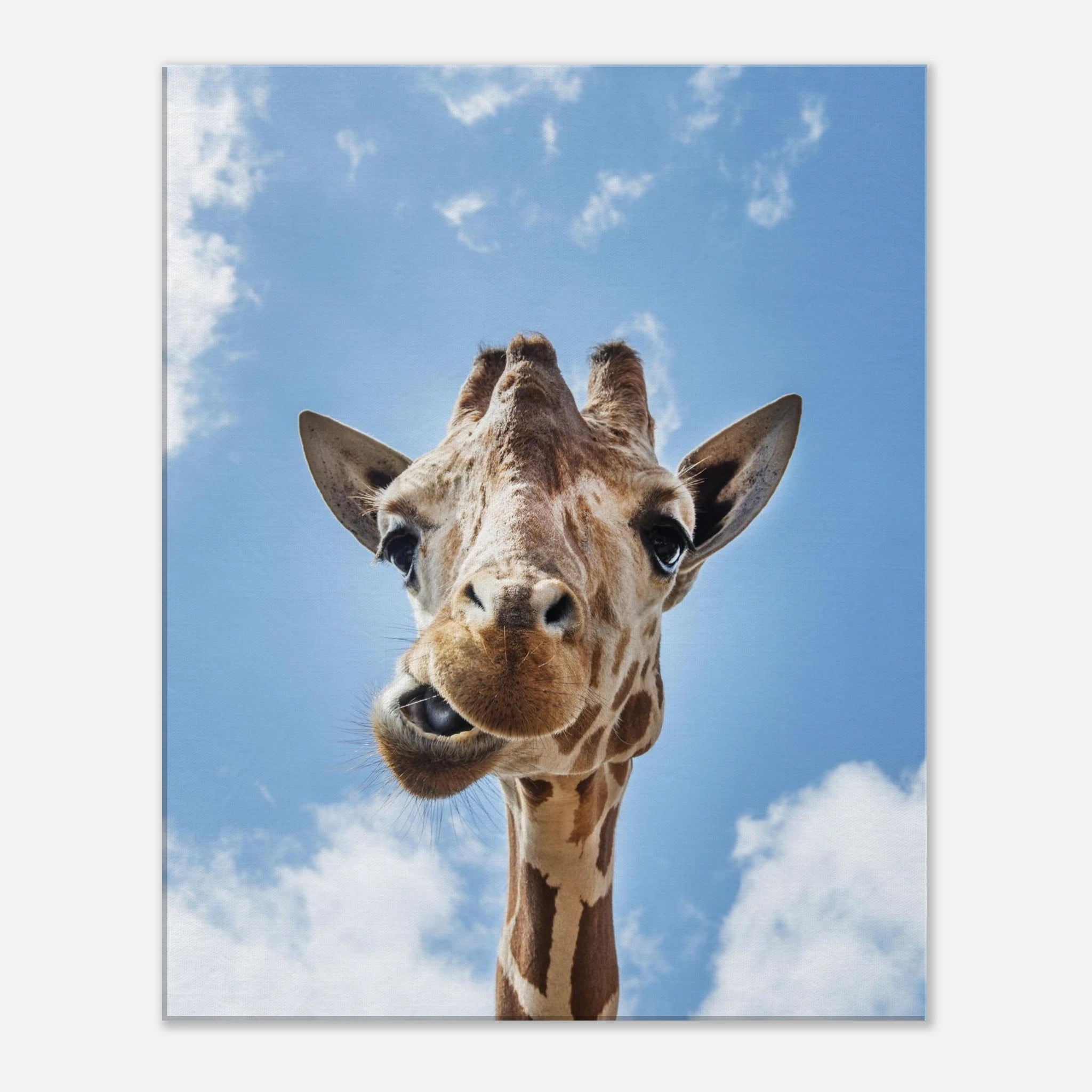 18251e8a-abc5-4a37-a249-17cbd1149e69