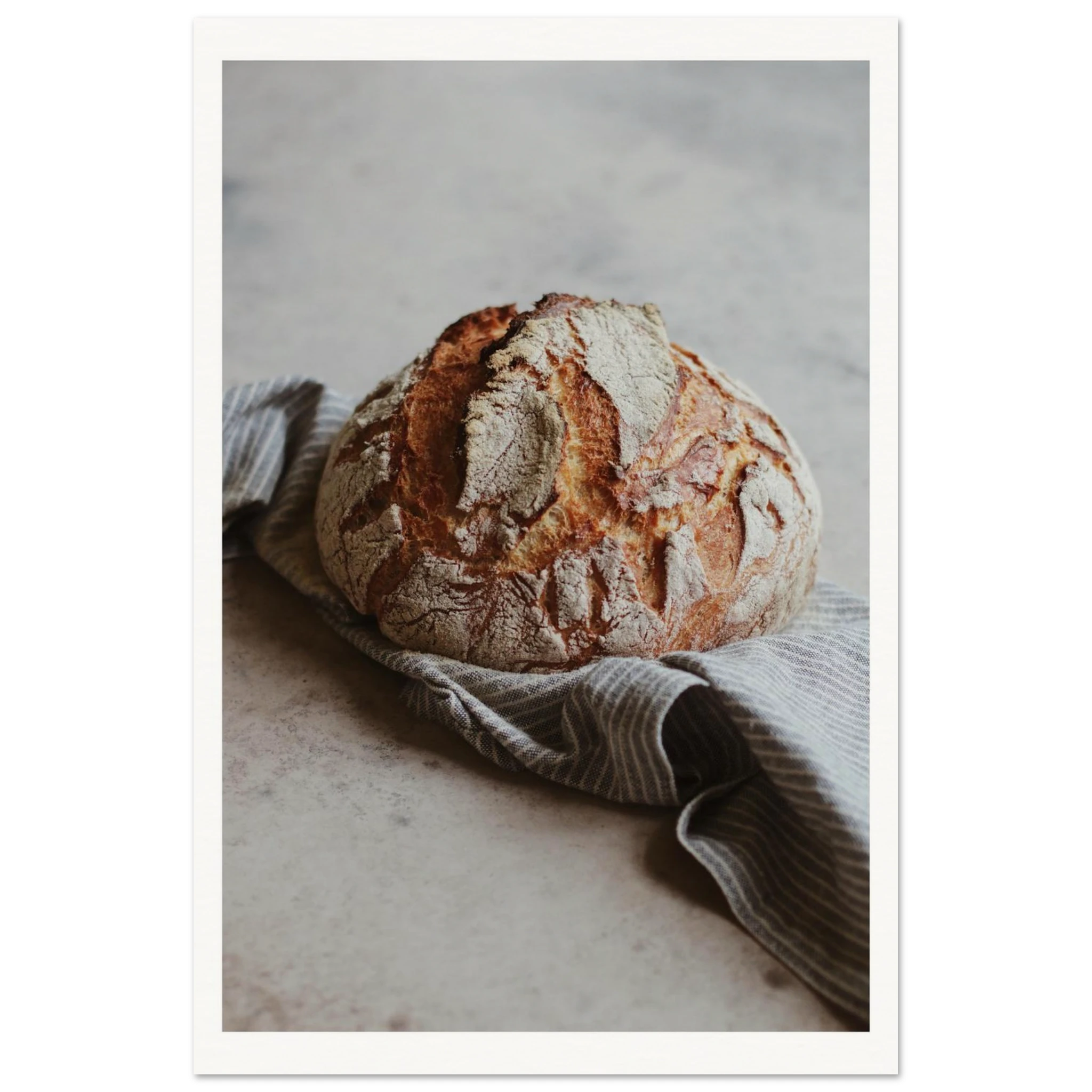 192f6383-ddb9-4100-ad71-5e797911dc0c