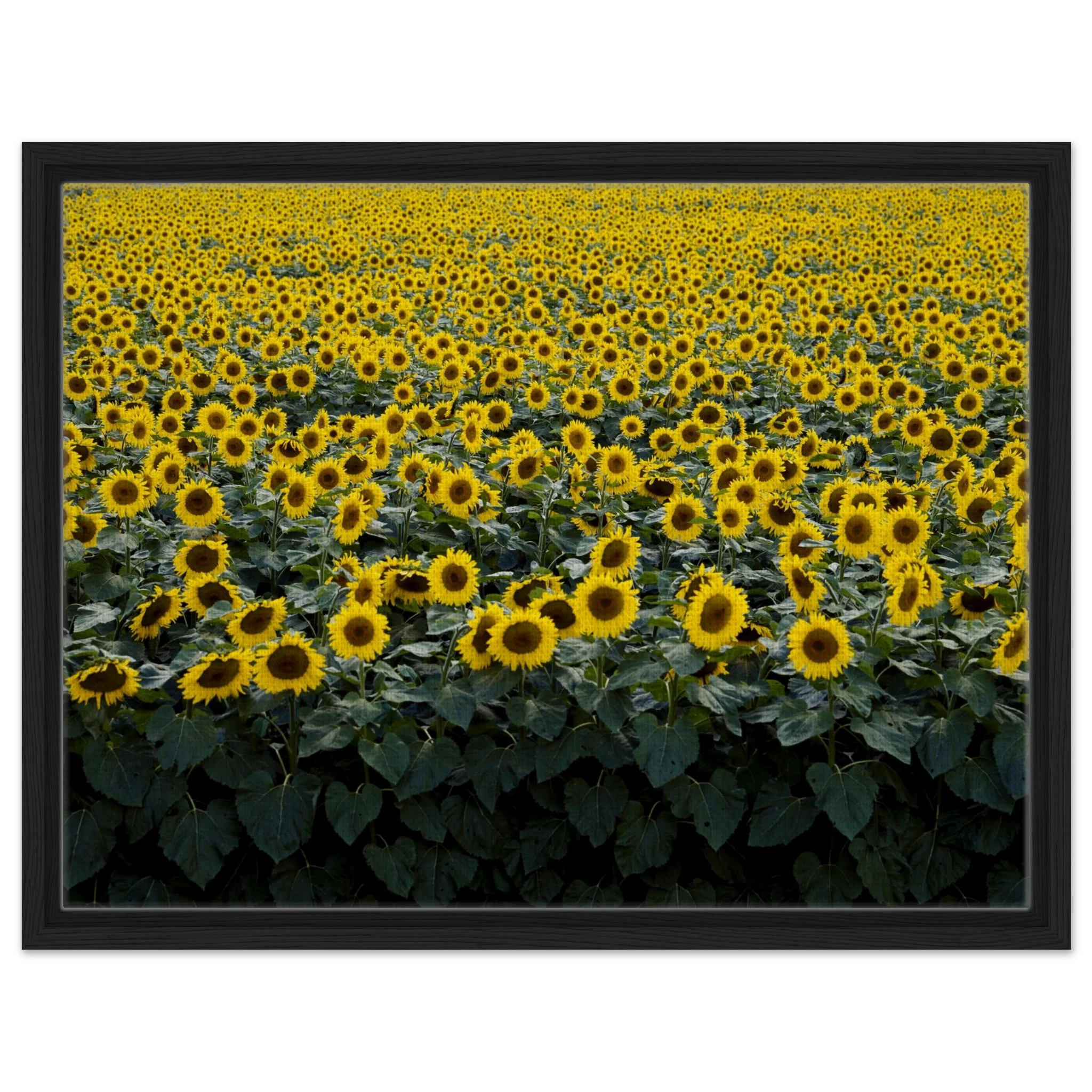 19f16503-9eb9-4885-9bb0-b8afd55089cf