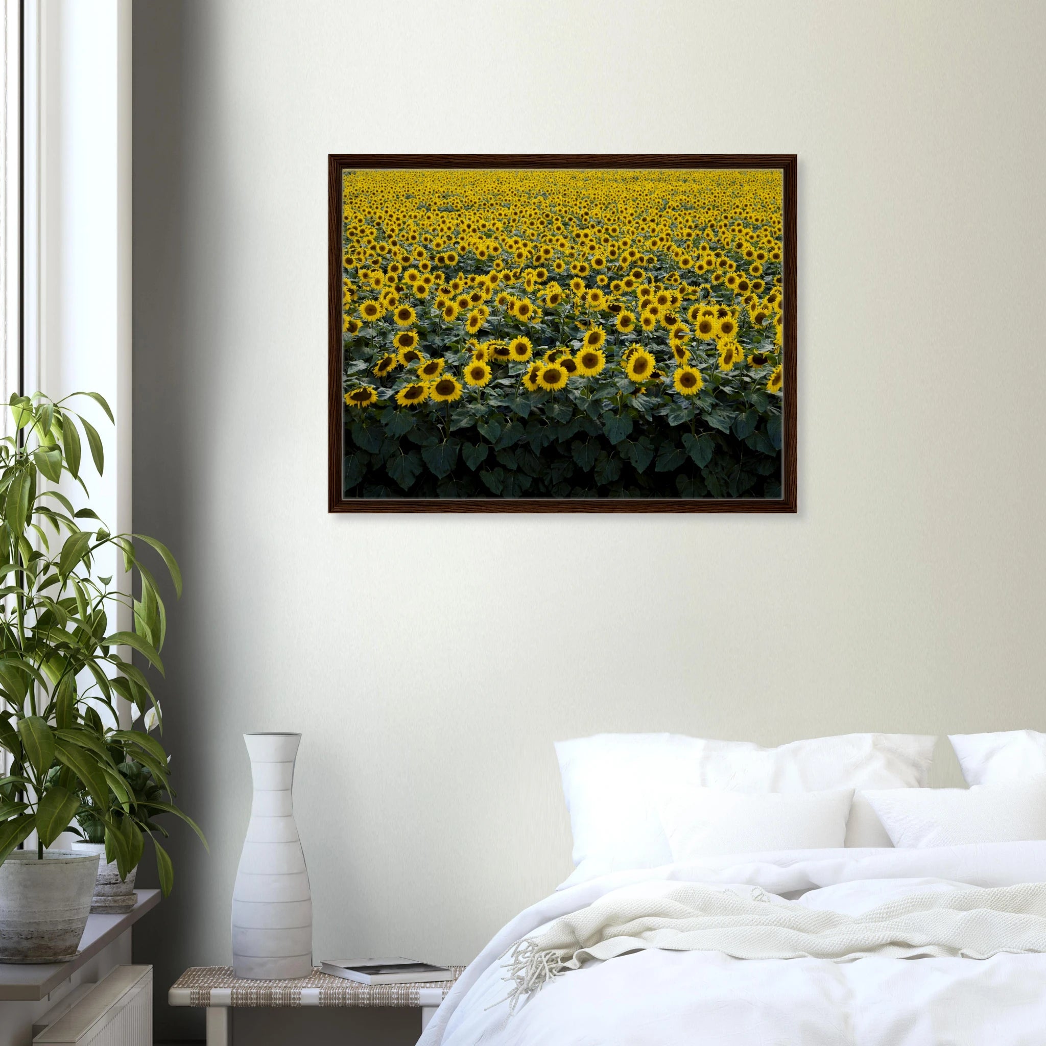 1c4b6560-58fd-469a-a57d-70db6b8f98e5