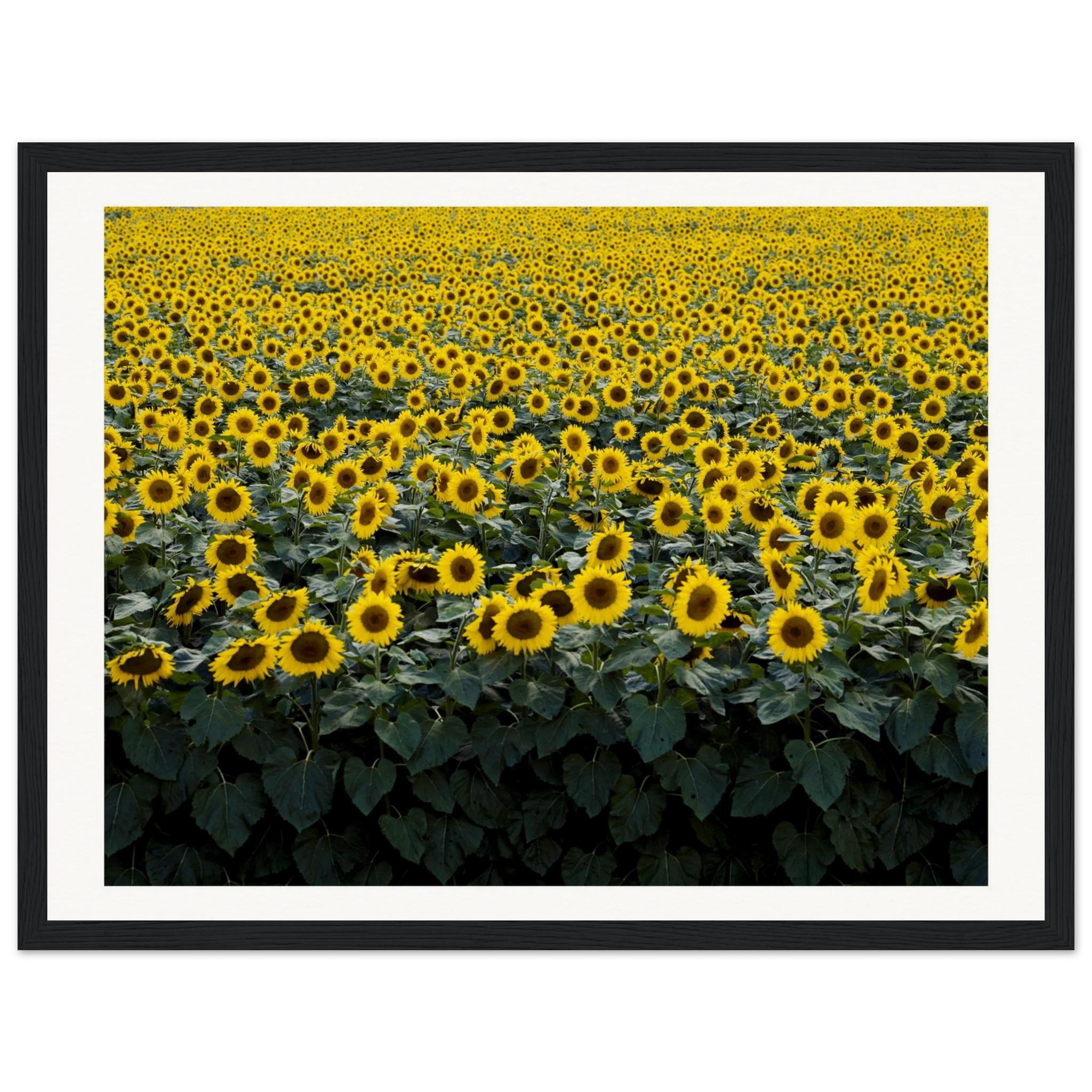 1c6e4d07-3661-45d7-9fa6-cd8b880594b8