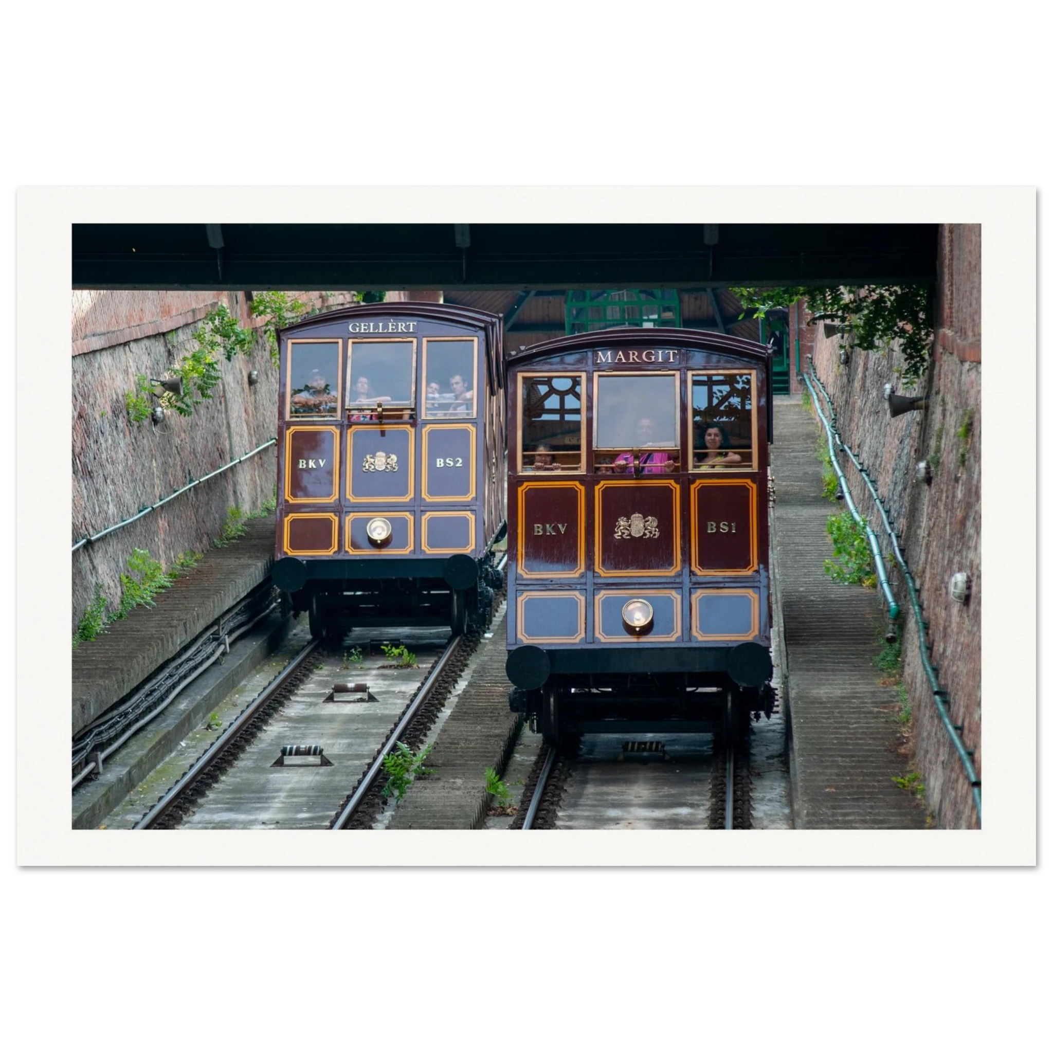 1c9ad5f3-f4e5-4e11-a90b-785374449c3a