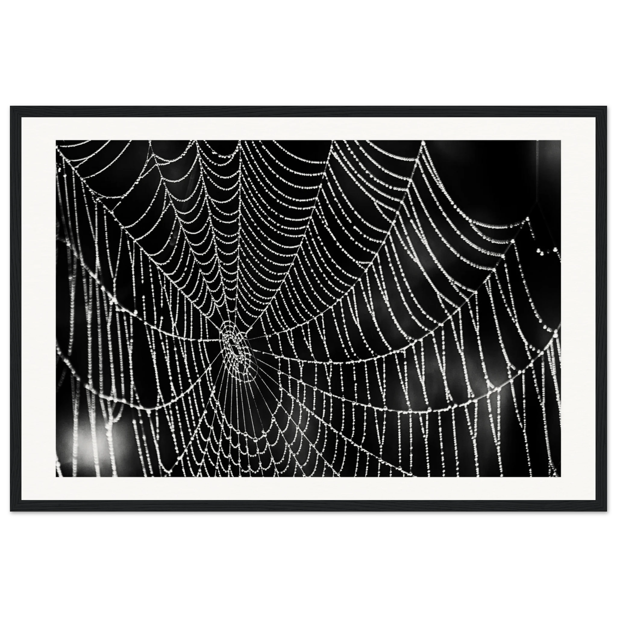 1f4354df-6152-4fa3-9225-06aee4131e18