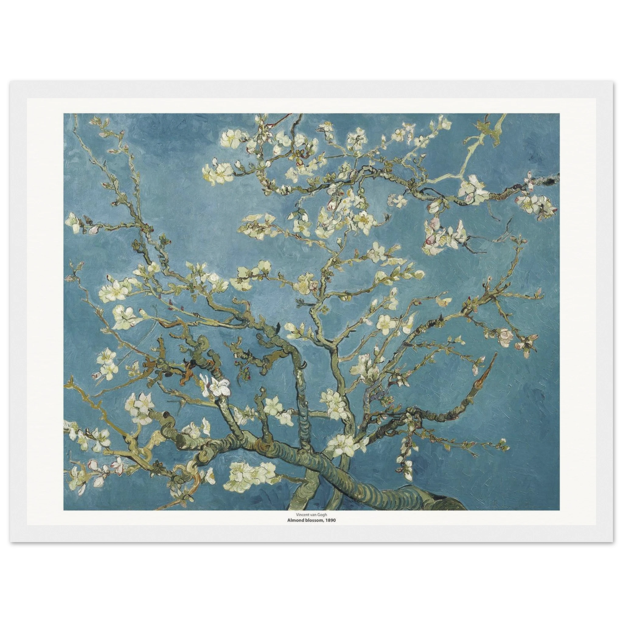 220e9011-fc98-4313-94ac-0c2f6aa9c1ad