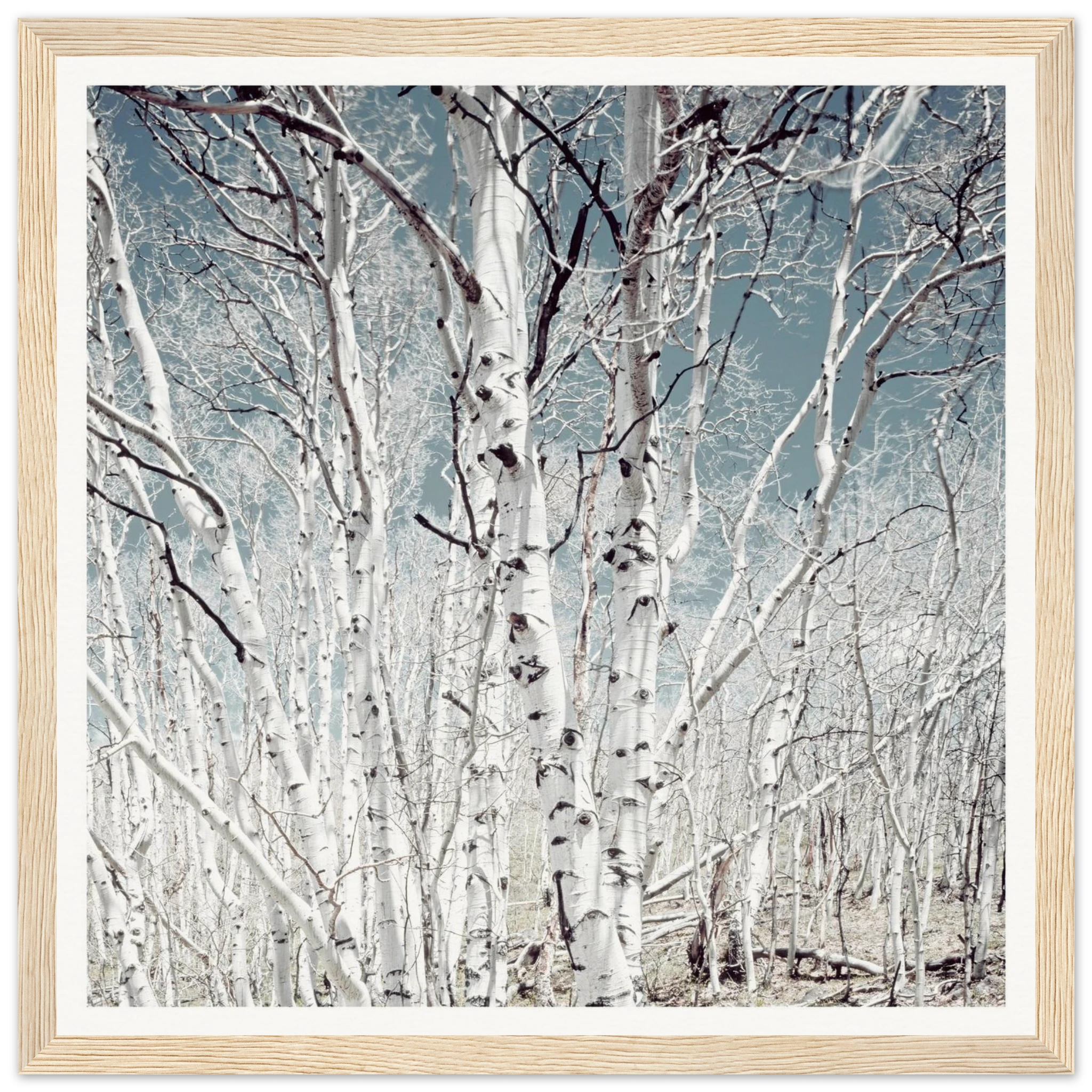 223b7796-4266-42d3-94b0-388a07e44088