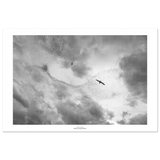 2617c8da-dacd-46b7-8d19-5ecce1eef17b