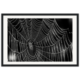 26c96a8a-5747-42fd-8584-8c35a2f03d70