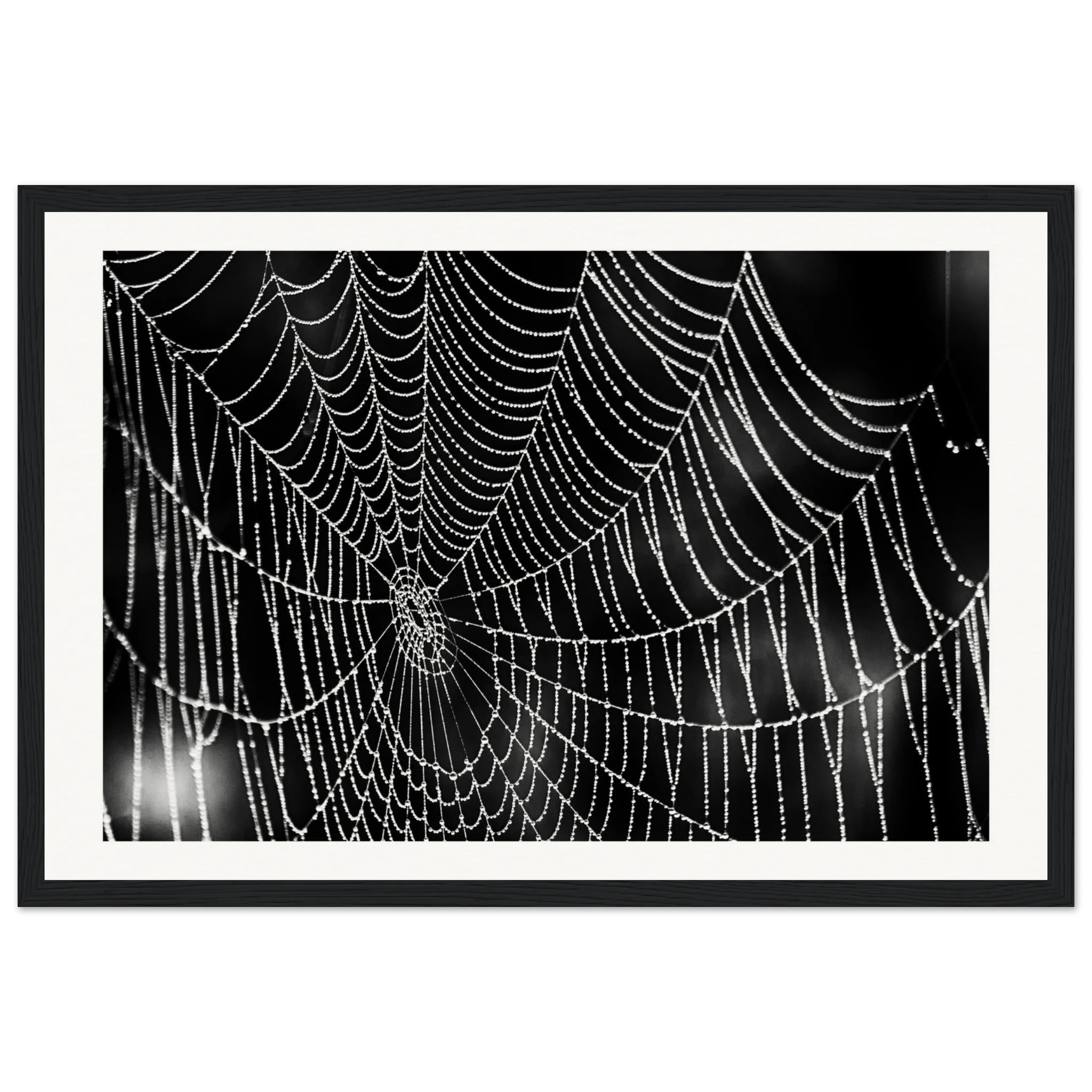 26c96a8a-5747-42fd-8584-8c35a2f03d70