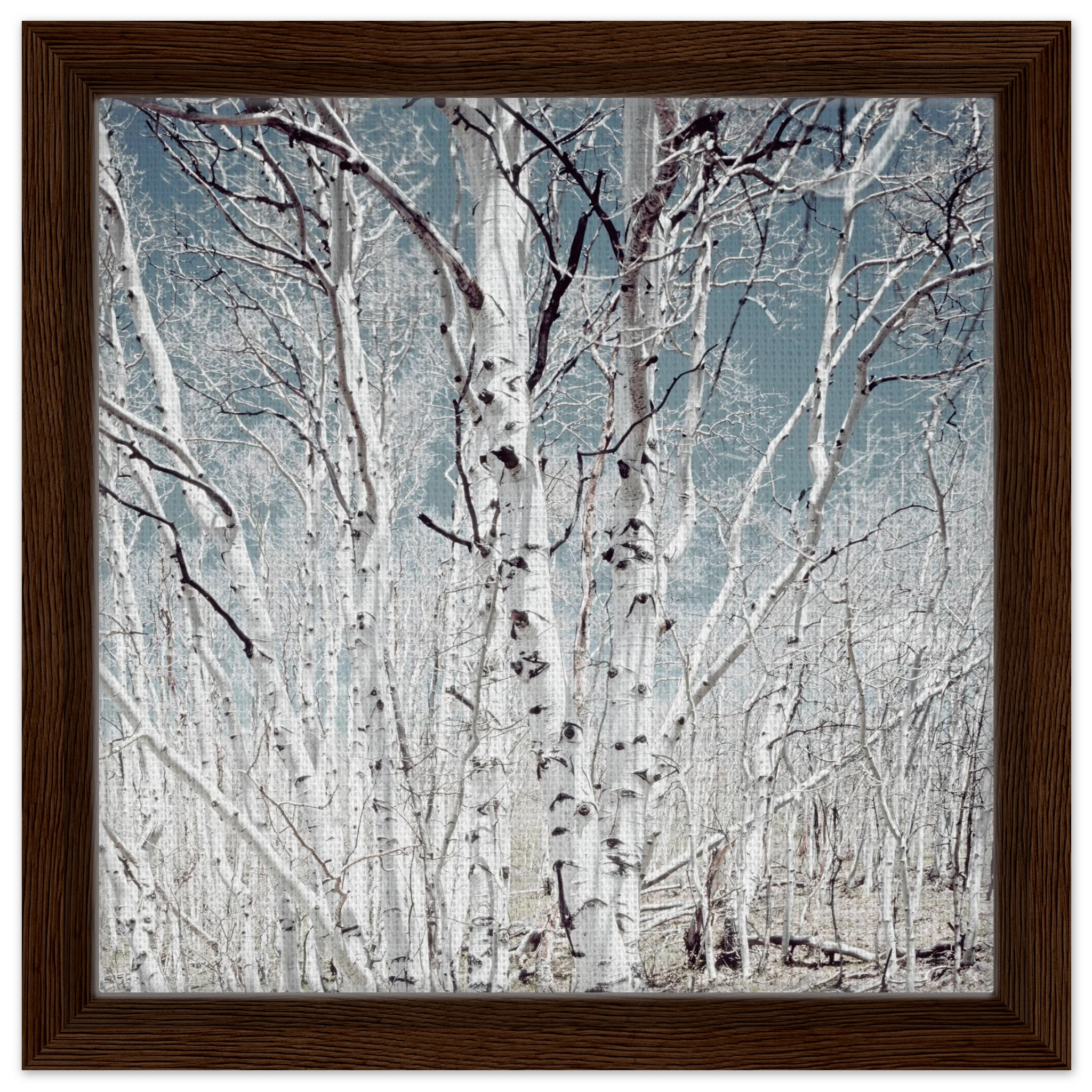 28872111-a889-4c89-b349-b70103a2205f