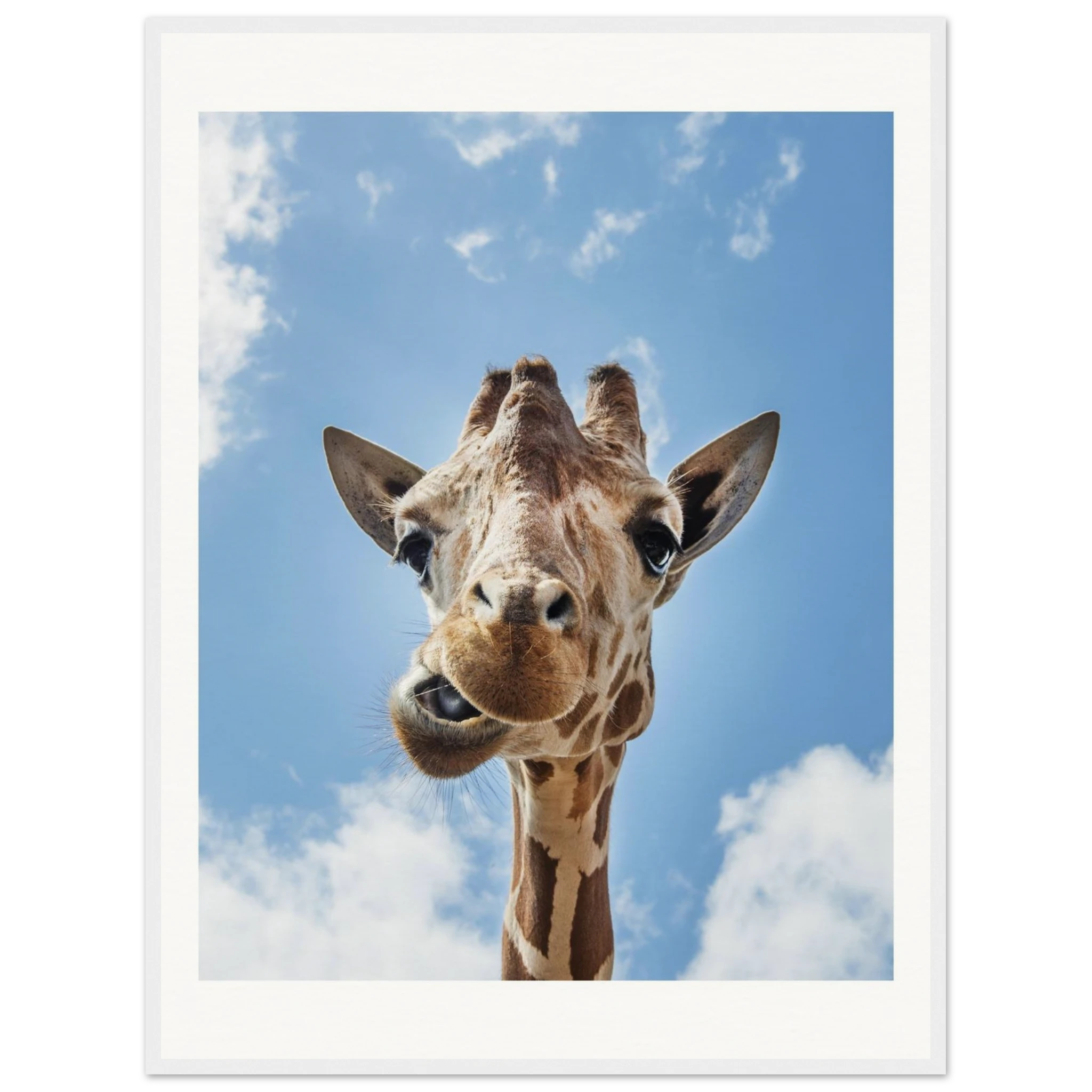 29c95de1-53f1-4ffb-b293-fda7631deb1a