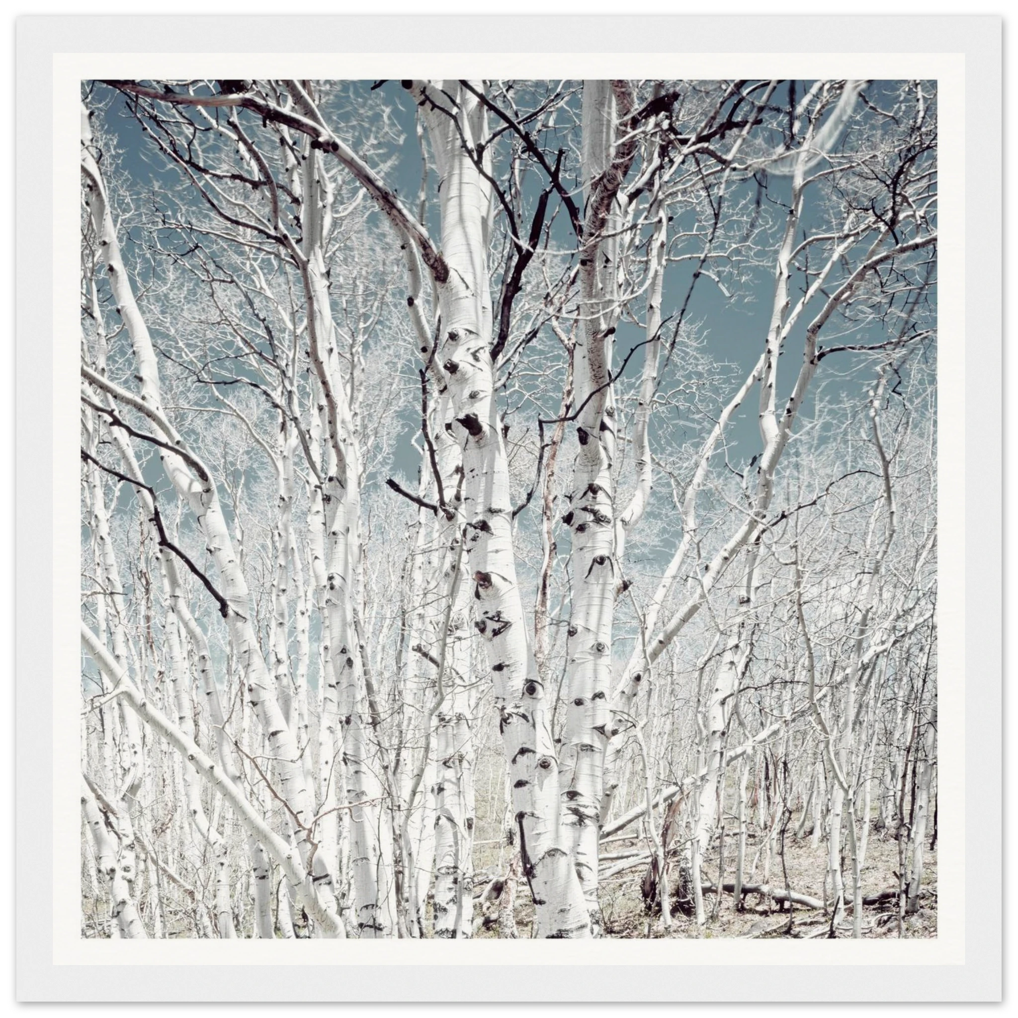 2b30b7bc-36ff-4961-a7f0-b895d69408b3