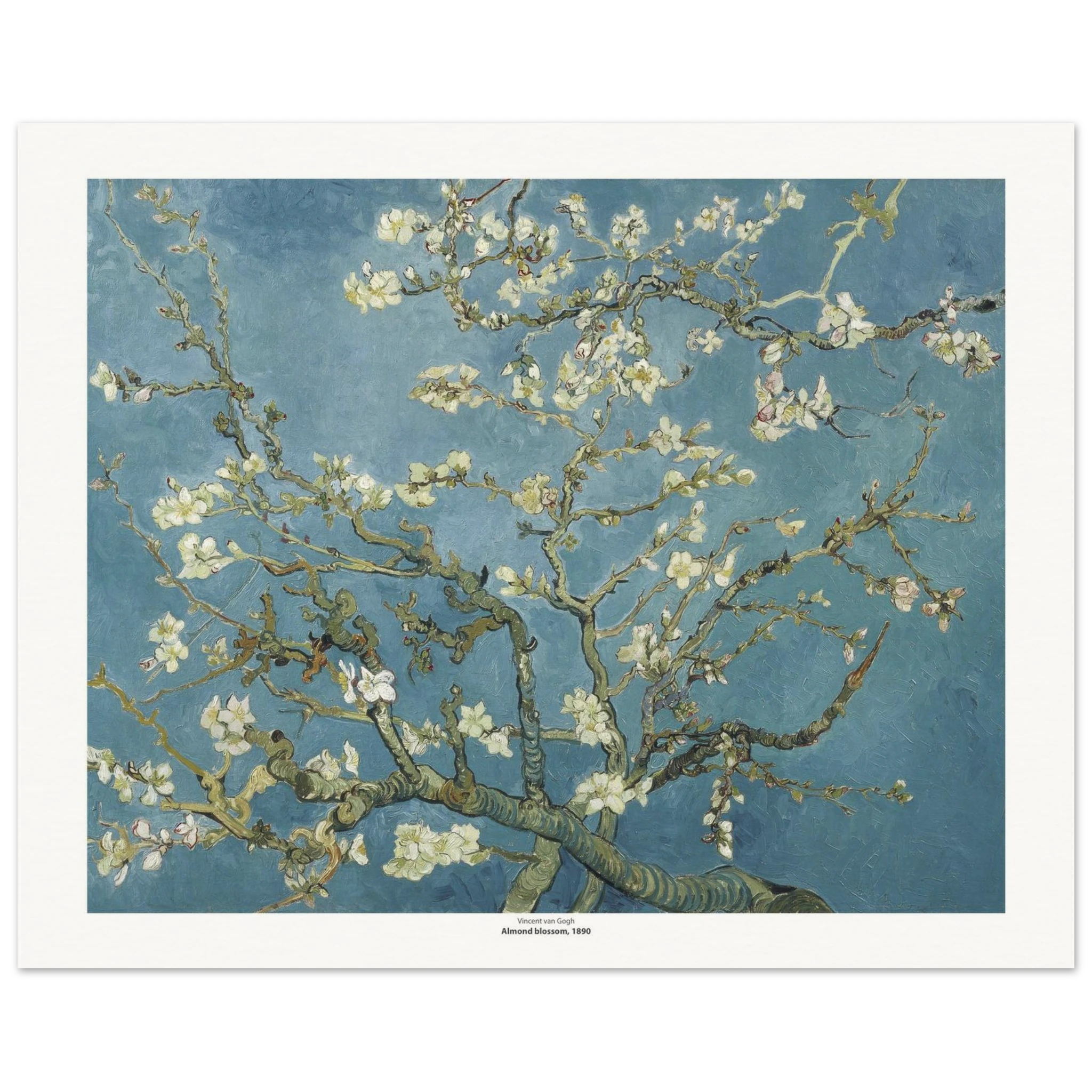 2ba584d7-9a0d-485a-8eb6-5950f42e9acd