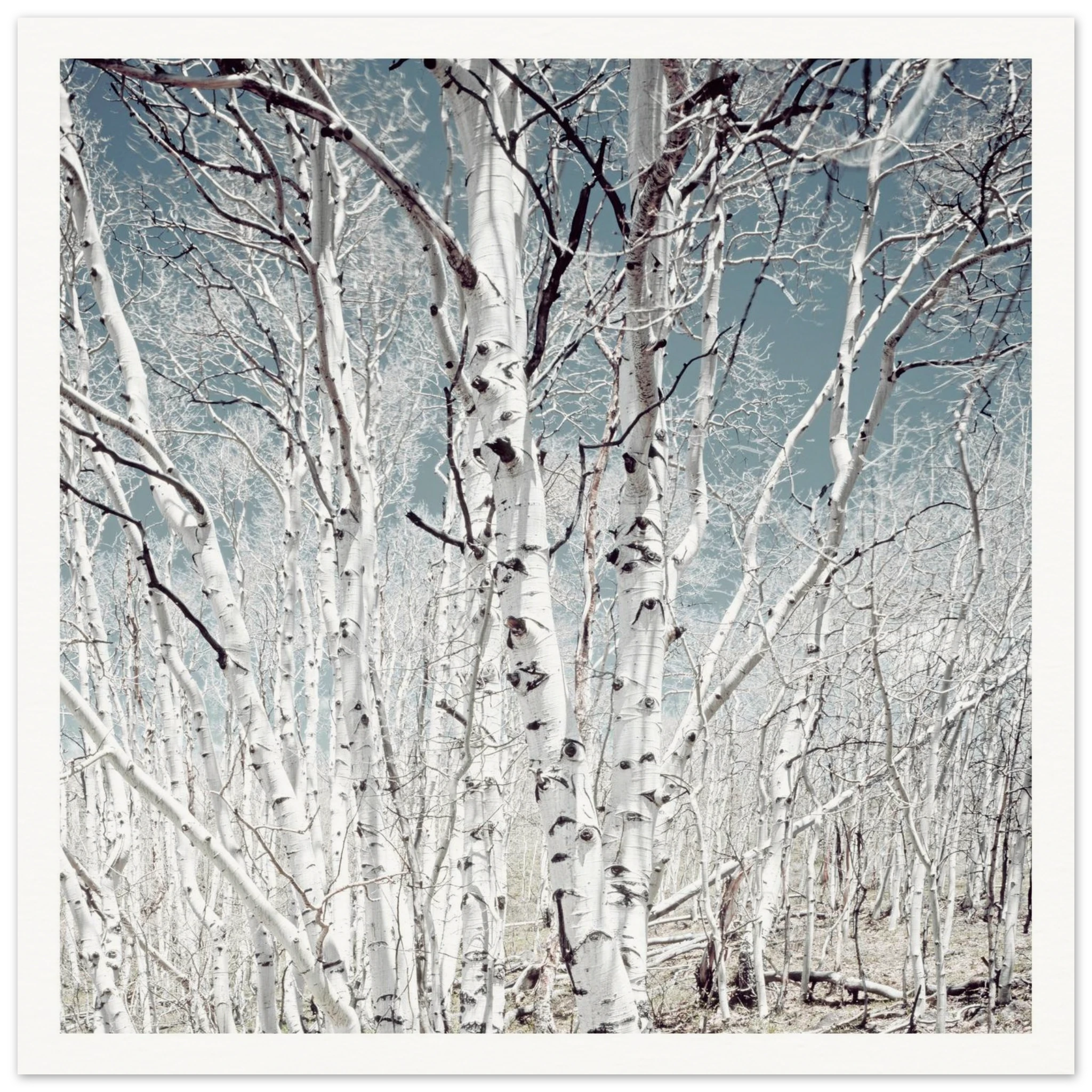 2f3ed8a3-a175-4c6f-a5cf-3e22cd3428f0