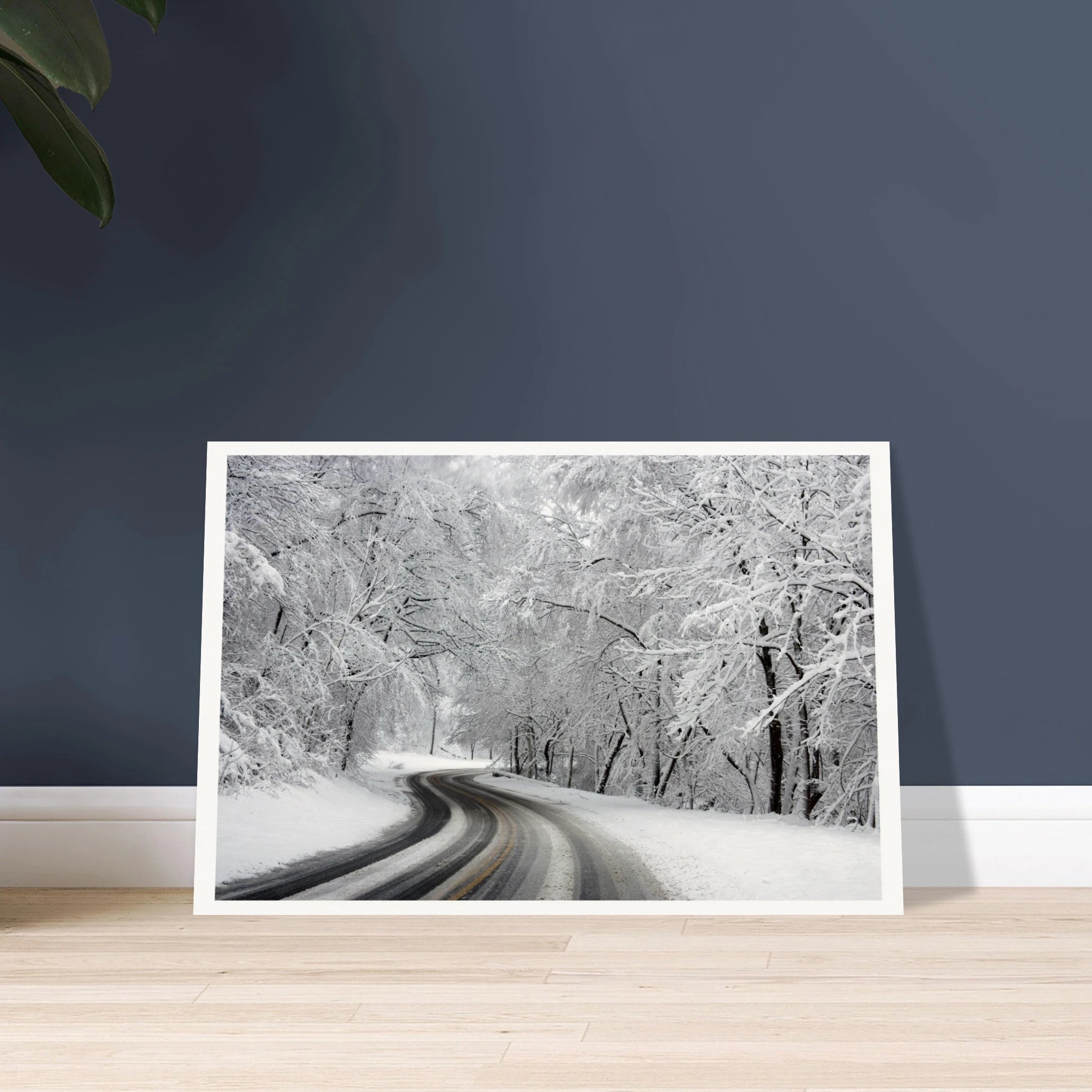 2f9bb55a-7232-46ed-8dcf-e60bc8a87ff7