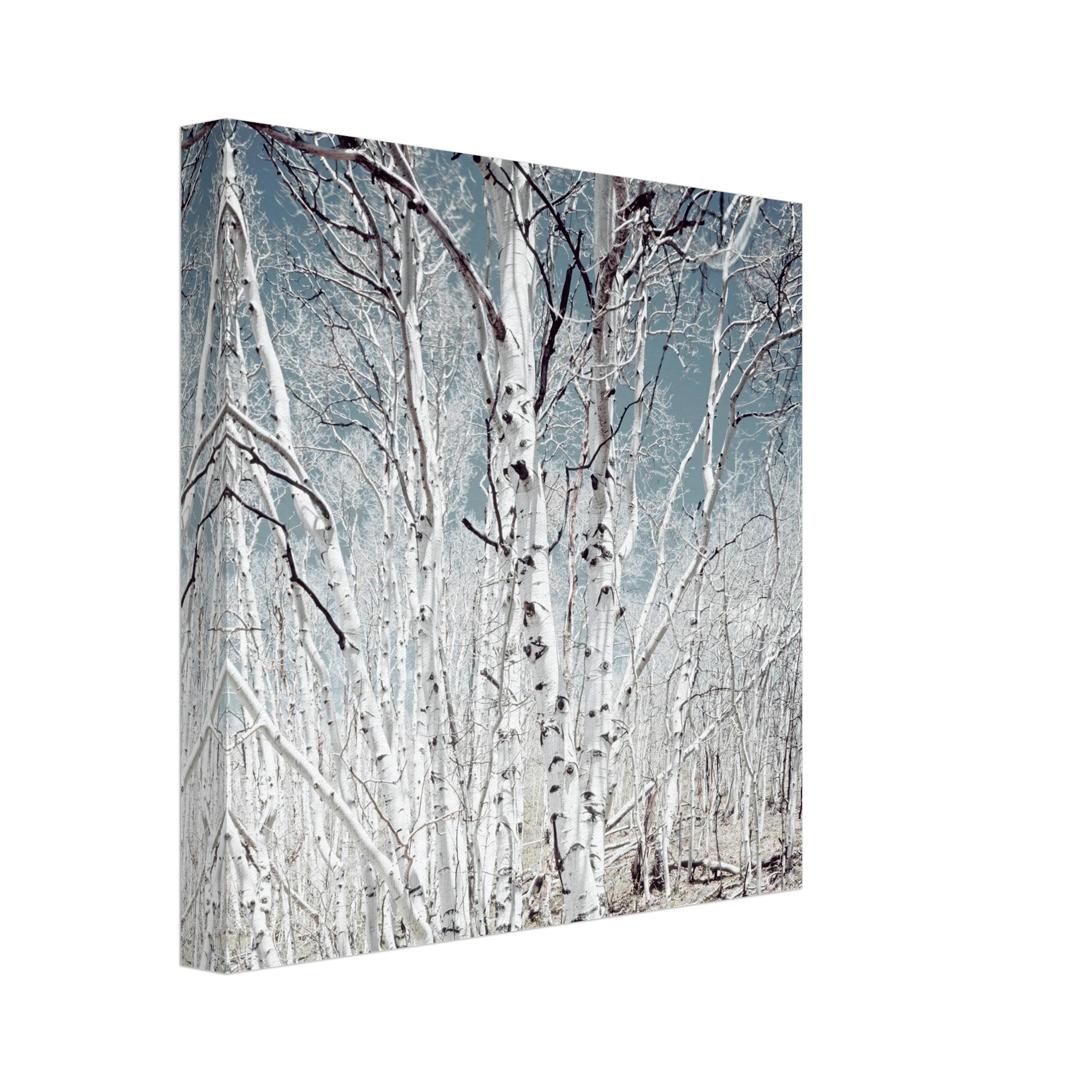 2fd73874-b00a-4653-a700-2ea7da37fbdc