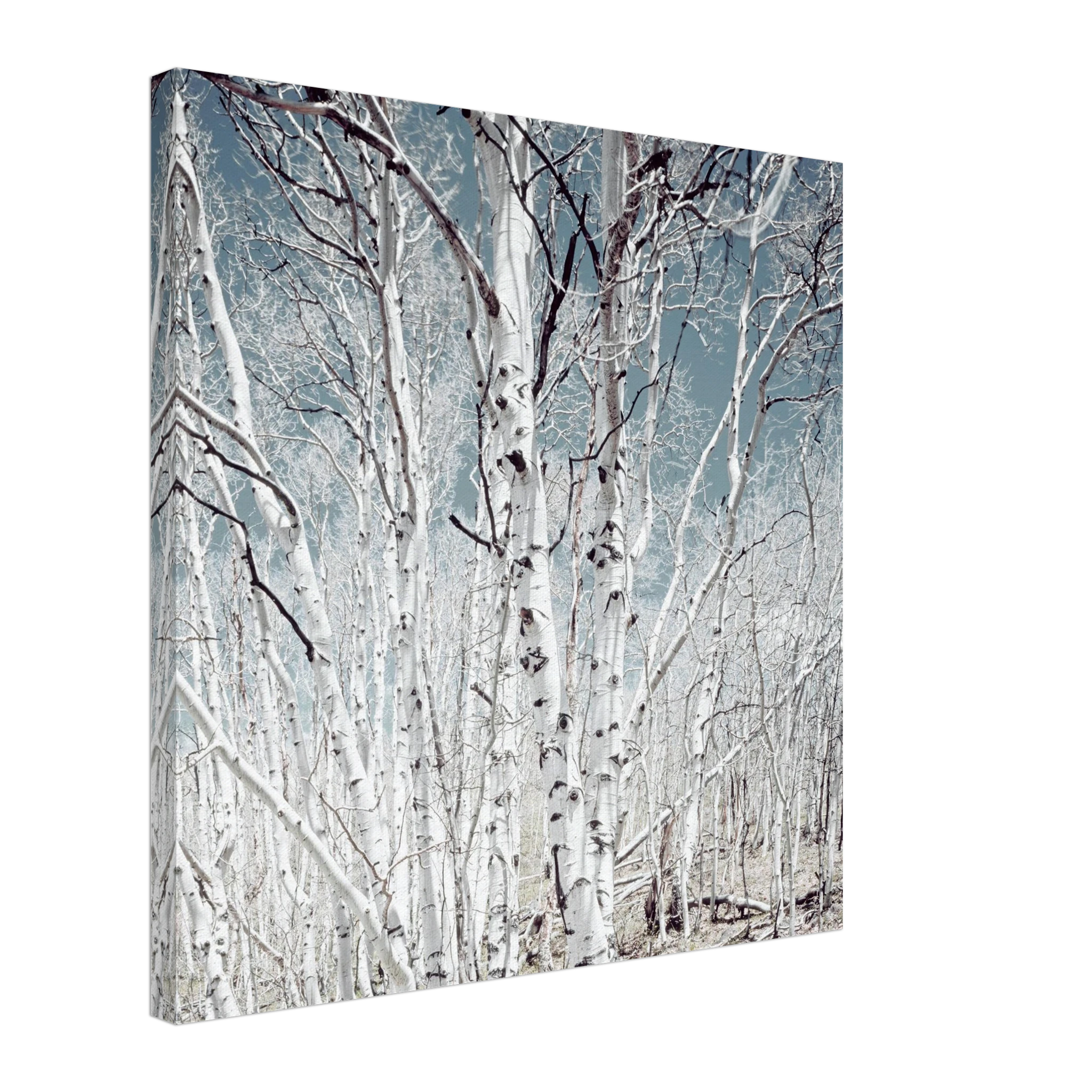 307df148-254a-4171-90ed-7859c0d398d0