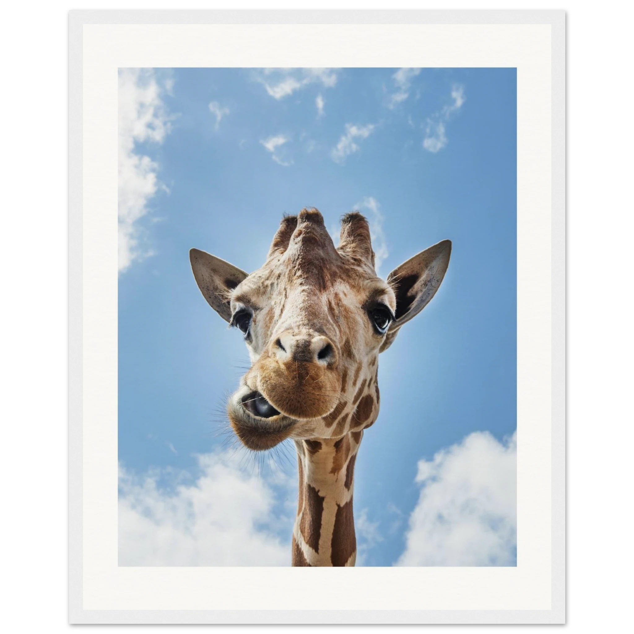 32f19947-007f-4511-ad0a-8aead7835b2a