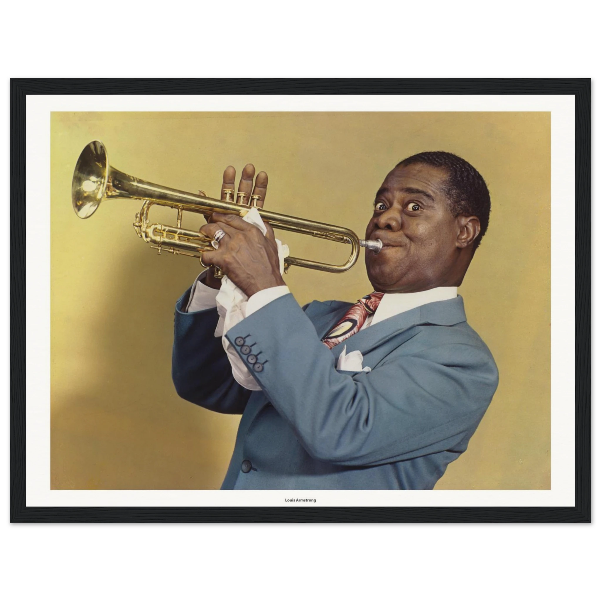 33861551-ce78-4d7b-9198-31b8ba5f2522