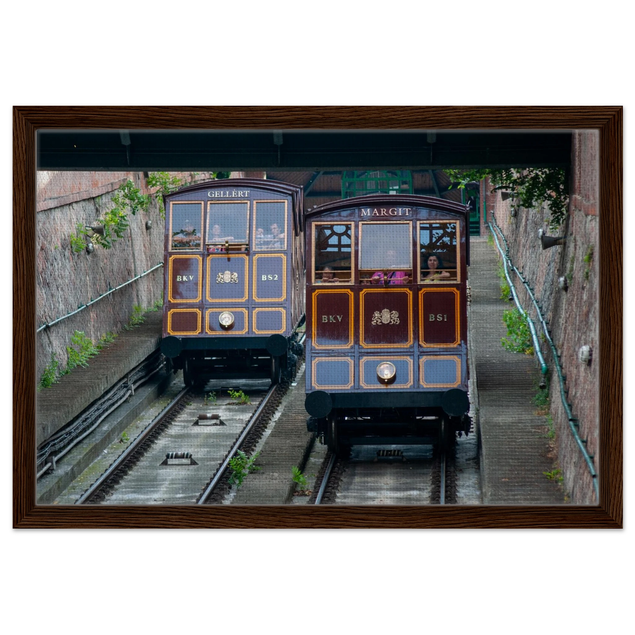 338fd163-994a-4690-84a5-4091624c46d4