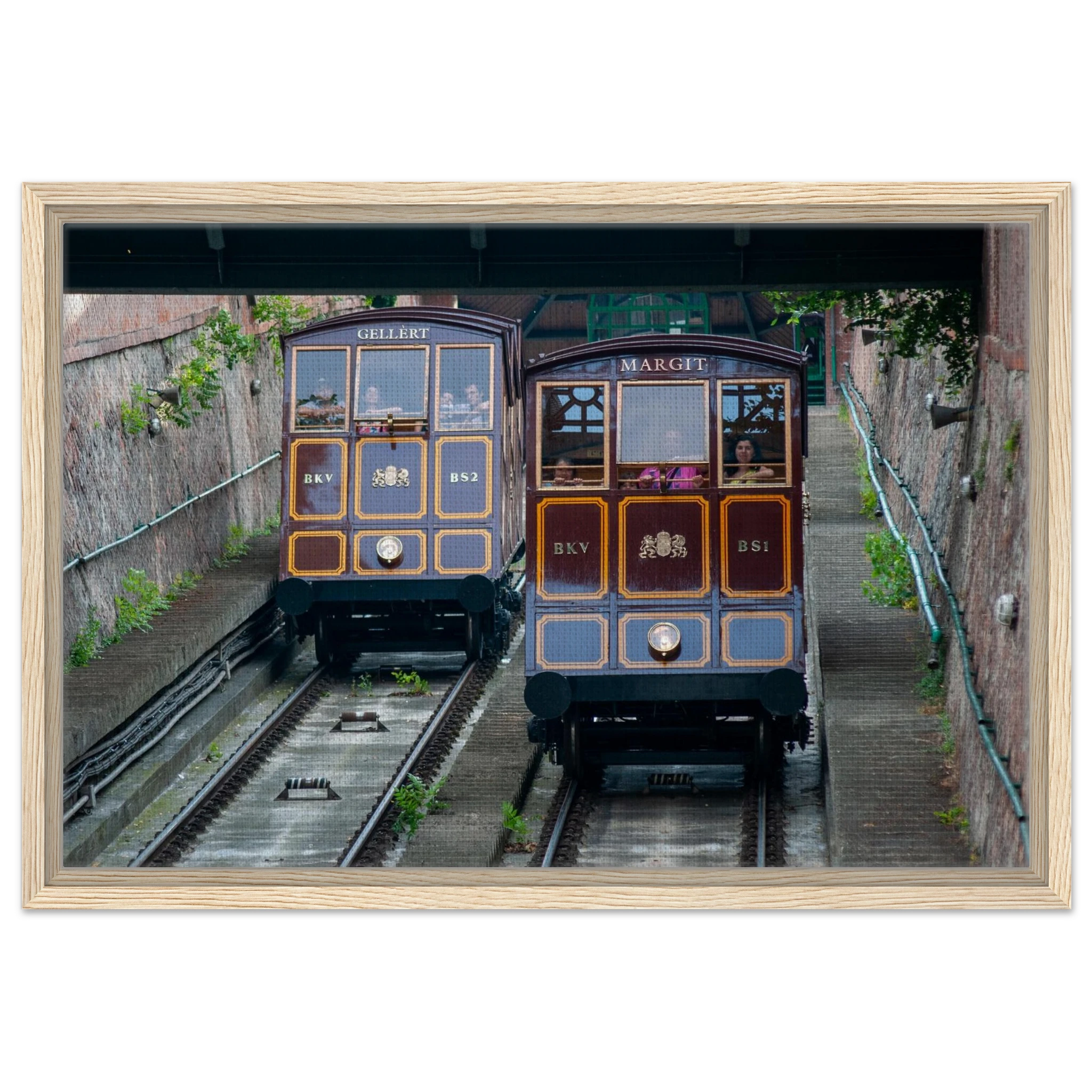 33c90945-c0e2-4c0f-9381-e2f9751c1c21