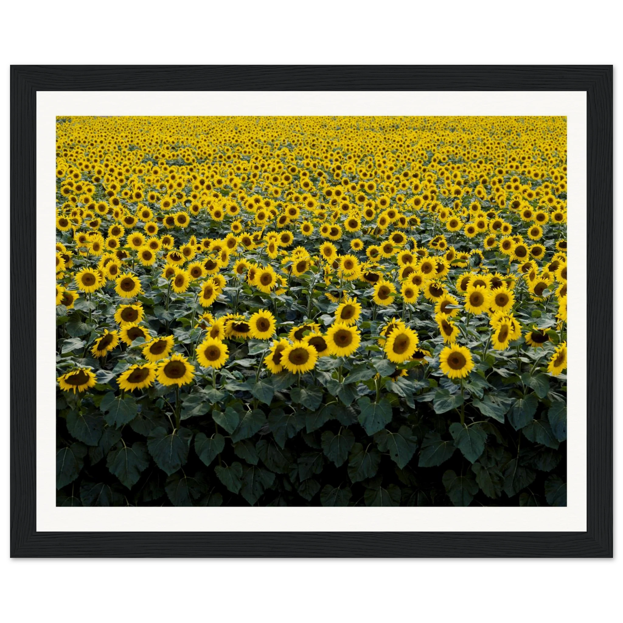 34309602-7d30-4c0b-b2ca-f6836482f0dc