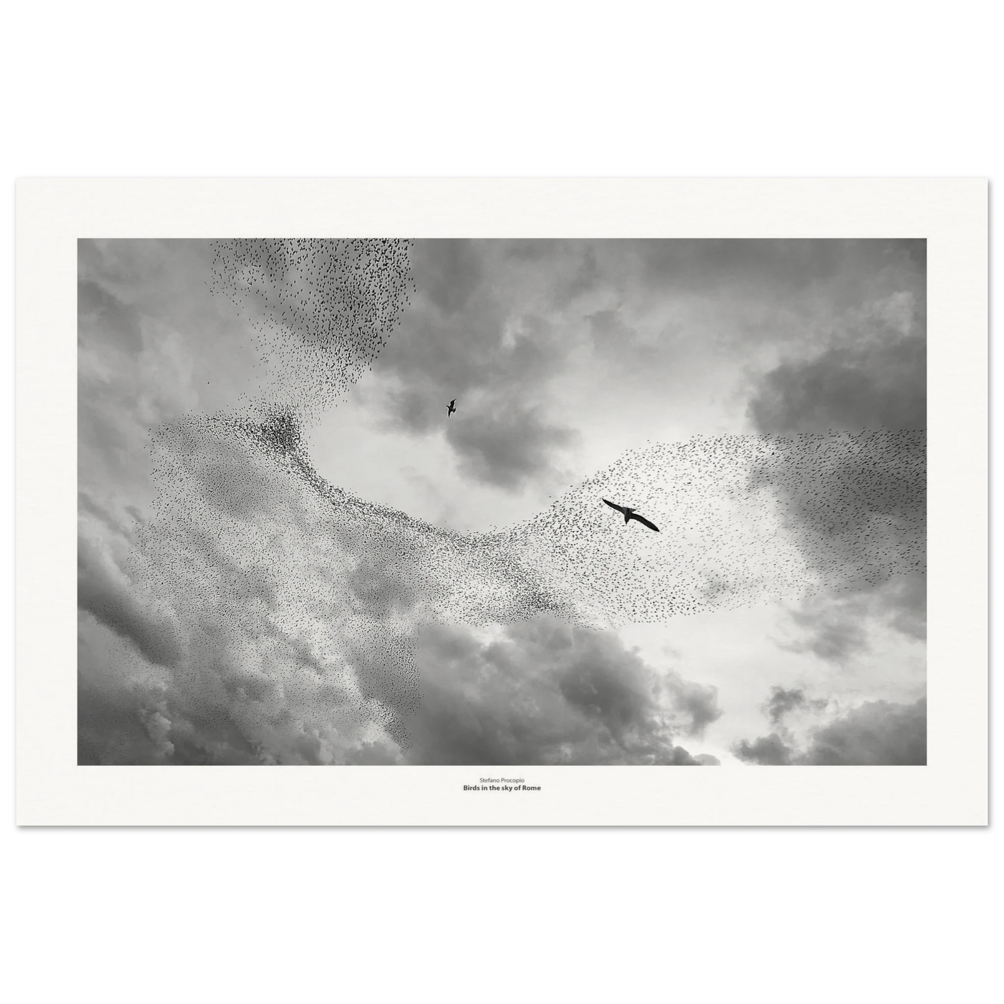 3609ed4b-d088-4ff5-8327-3e35e4318ec3