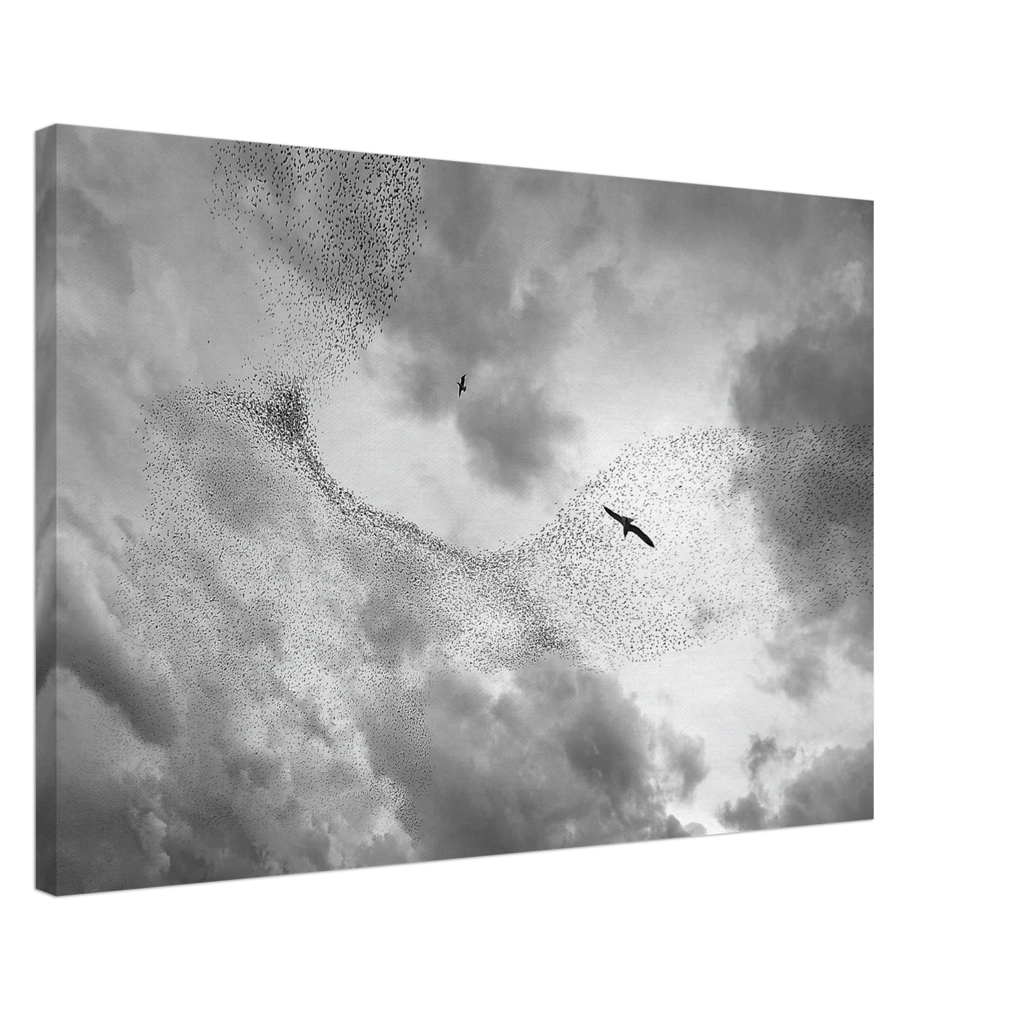 37dc5231-39de-4b86-bfbf-96a59b474453