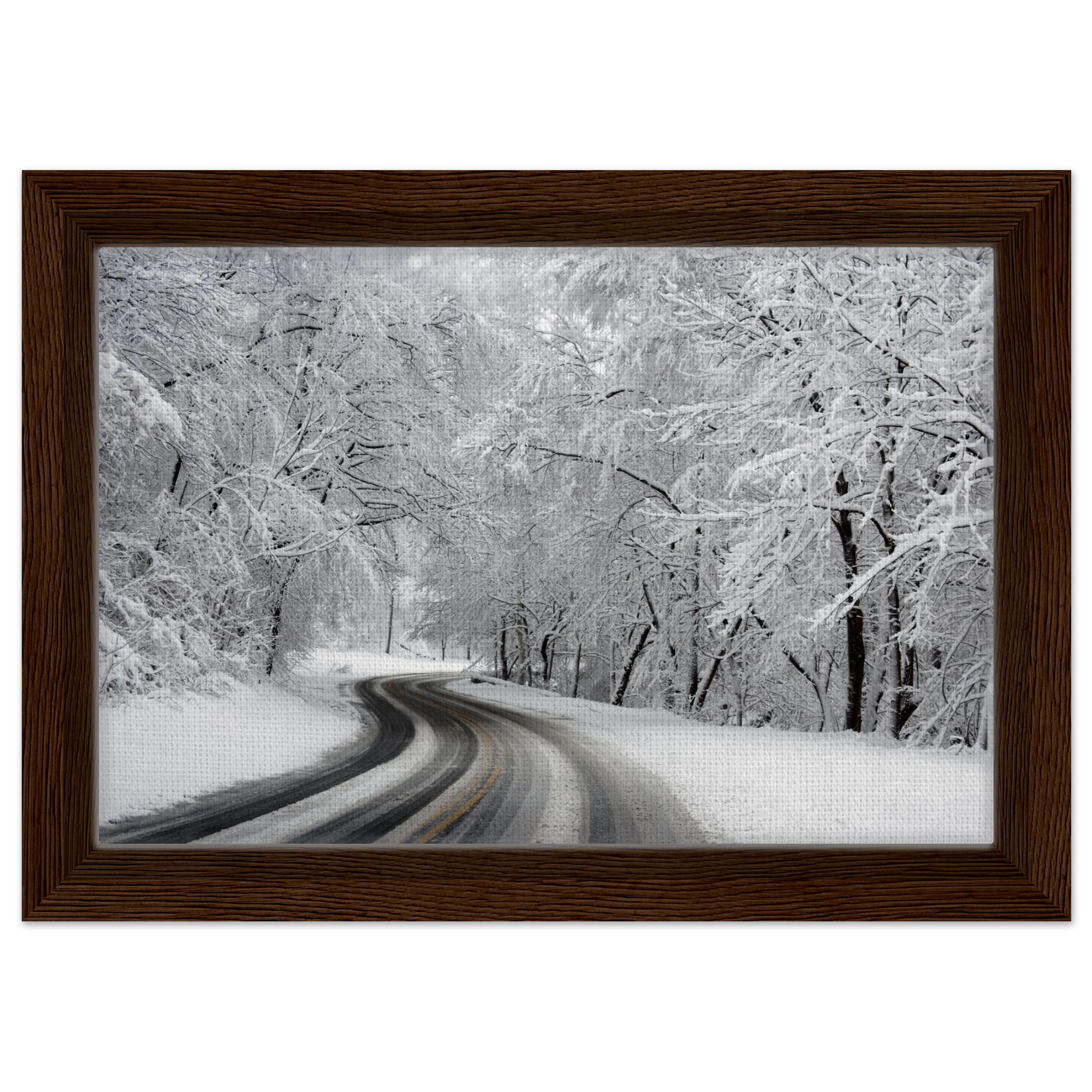 38ff9ea8-2591-4c89-ad26-bb947dc5cdaf