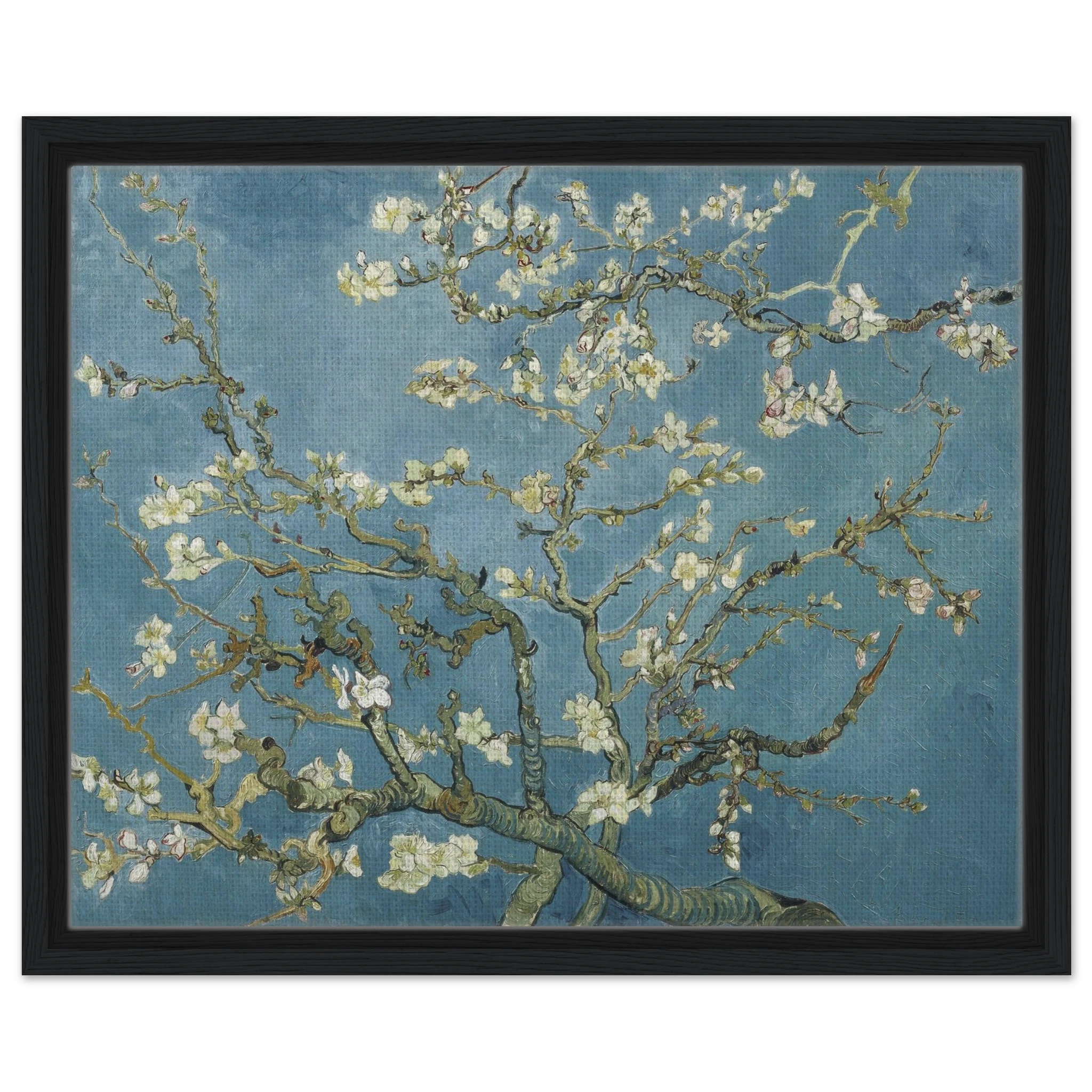 395b9a38-7cf1-4085-990d-3a706f5c6cfb