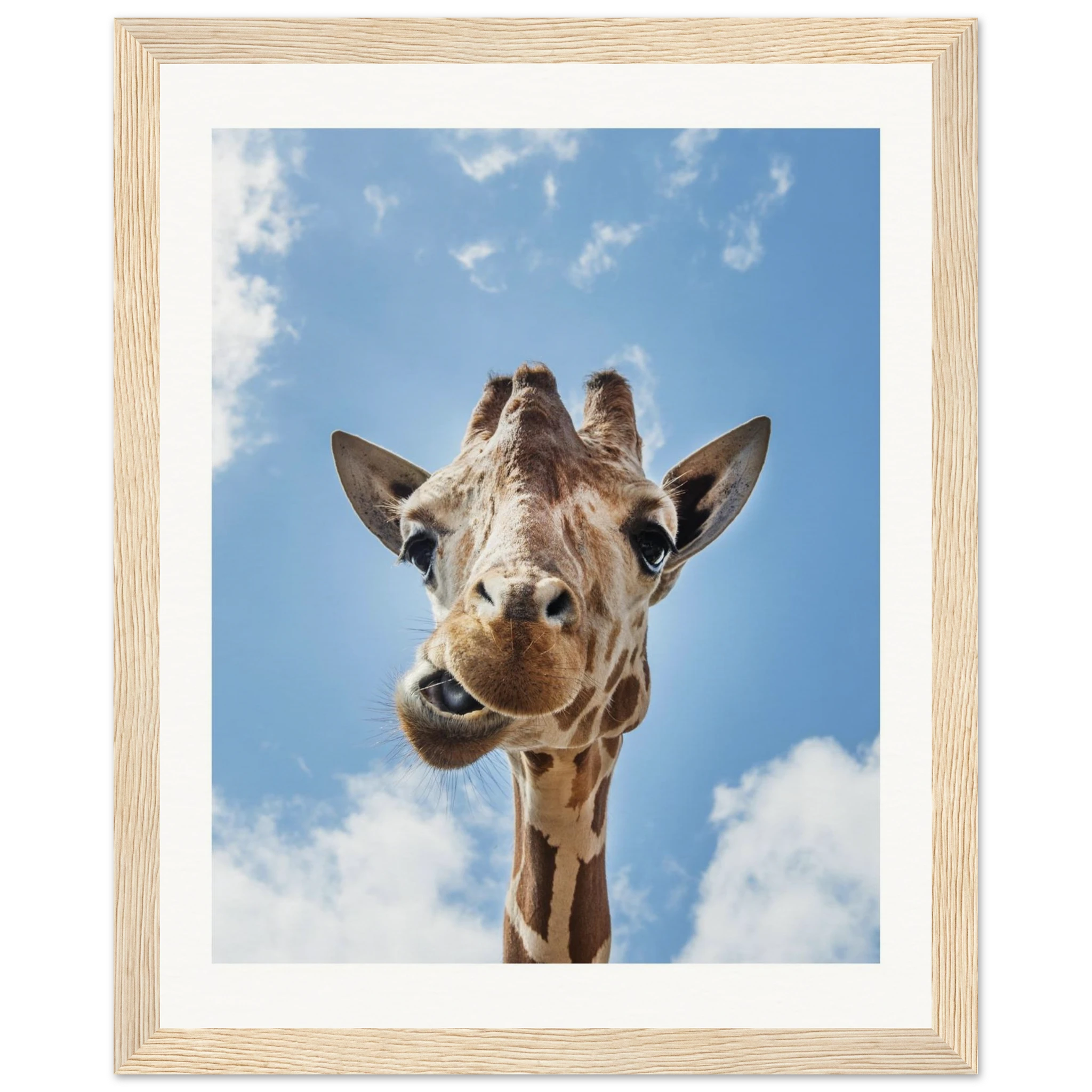 3e38726d-7d88-4610-b24c-8a918037ca1d