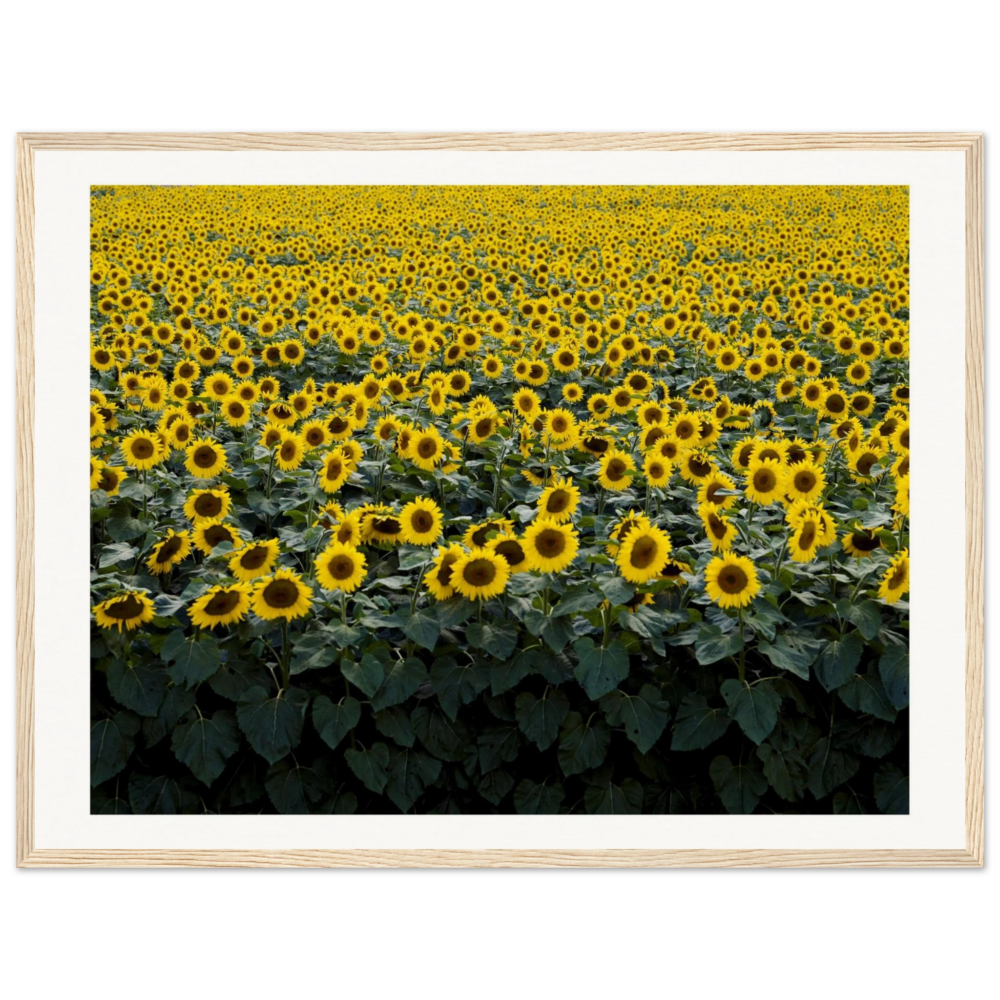 3e88a00d-28c4-4c6d-b7bb-582c8d848edd