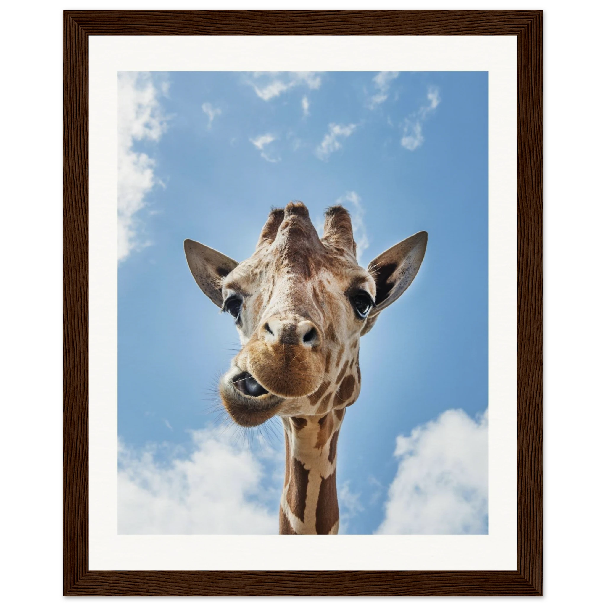 44e6cce7-dae2-4c0f-9aa4-45acfaba1c11