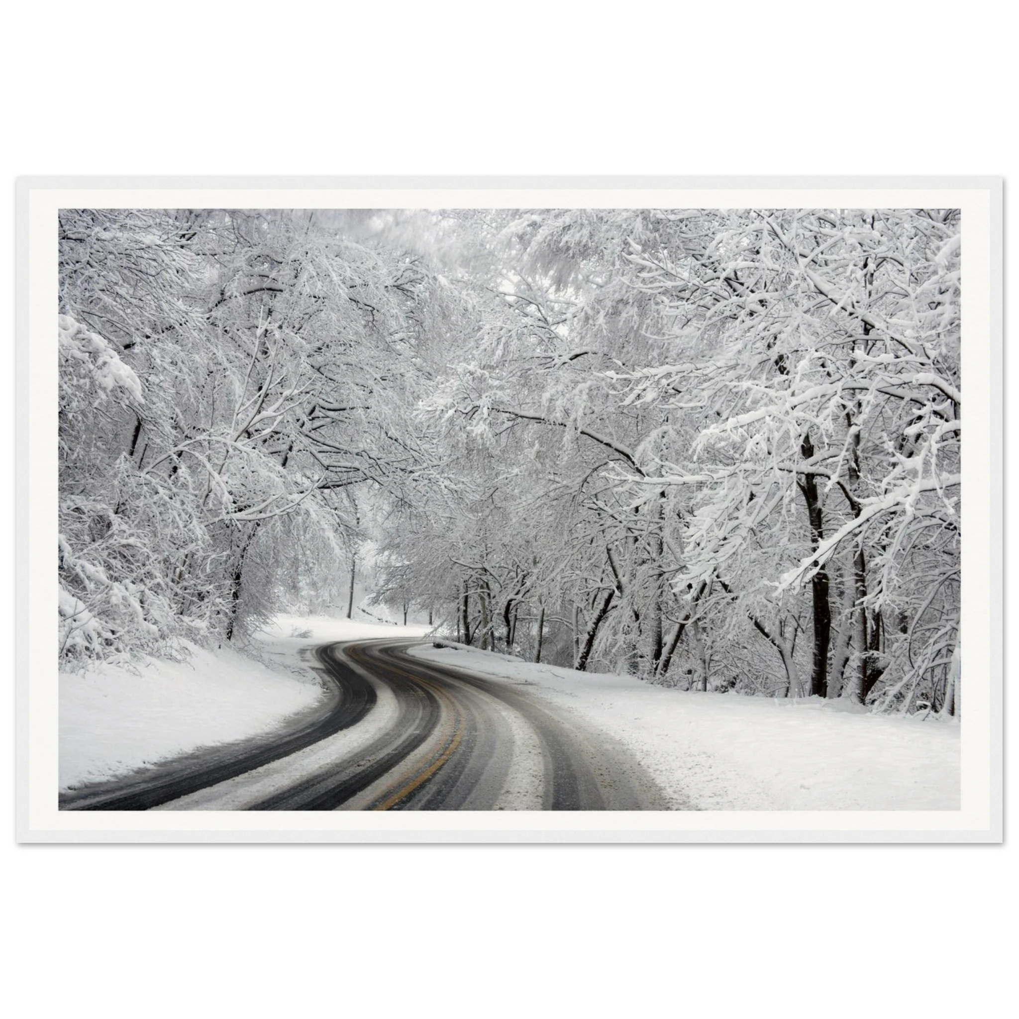 4853044f-591b-4cfd-88cf-fa615c57b7b2