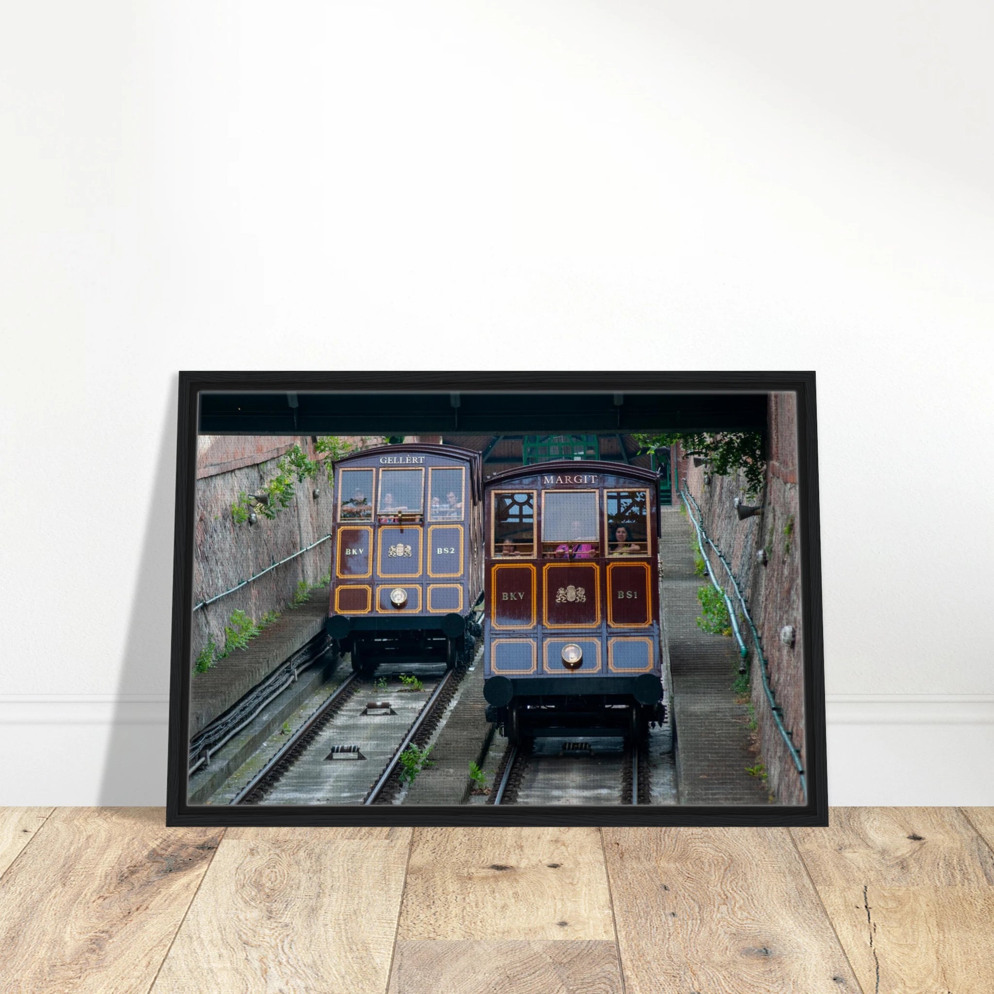 491d9ca0-c69e-40bd-9556-8f6505dbe947