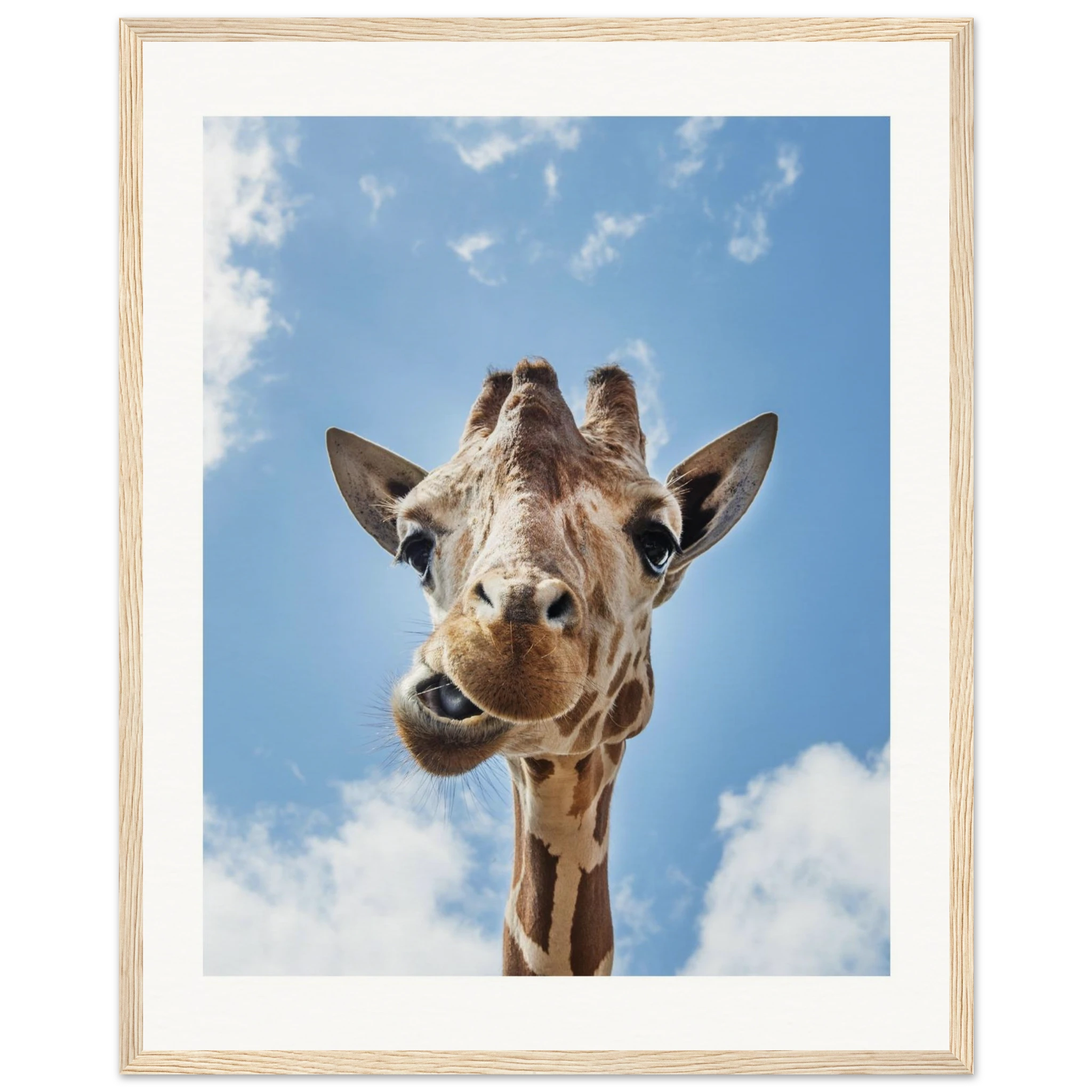 496d2210-426a-4042-a35a-eec42ba65921