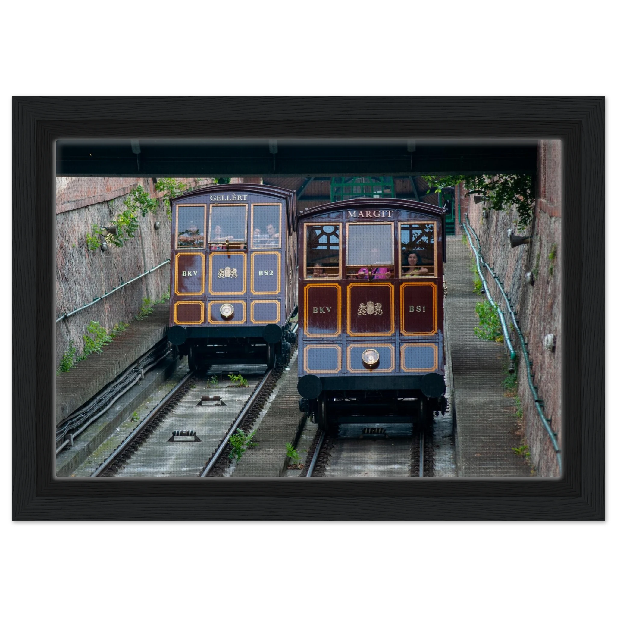 4a6e5028-18af-45de-8400-f8d81d7b15c9